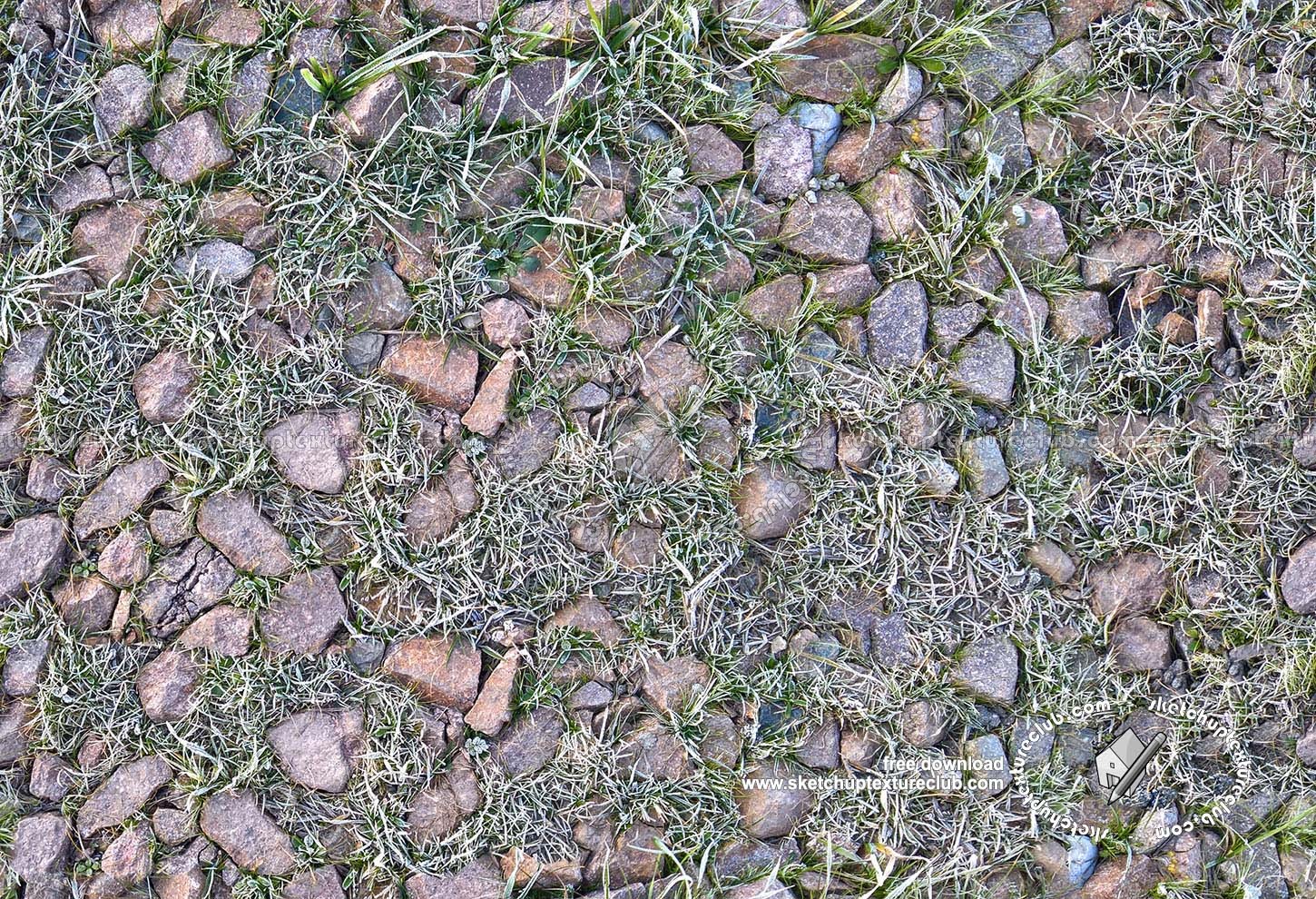 Textures   -   NATURE ELEMENTS   -   GRAVEL & PEBBLES  - Pebbles and icy grass texture seamless 20189 (seamless)