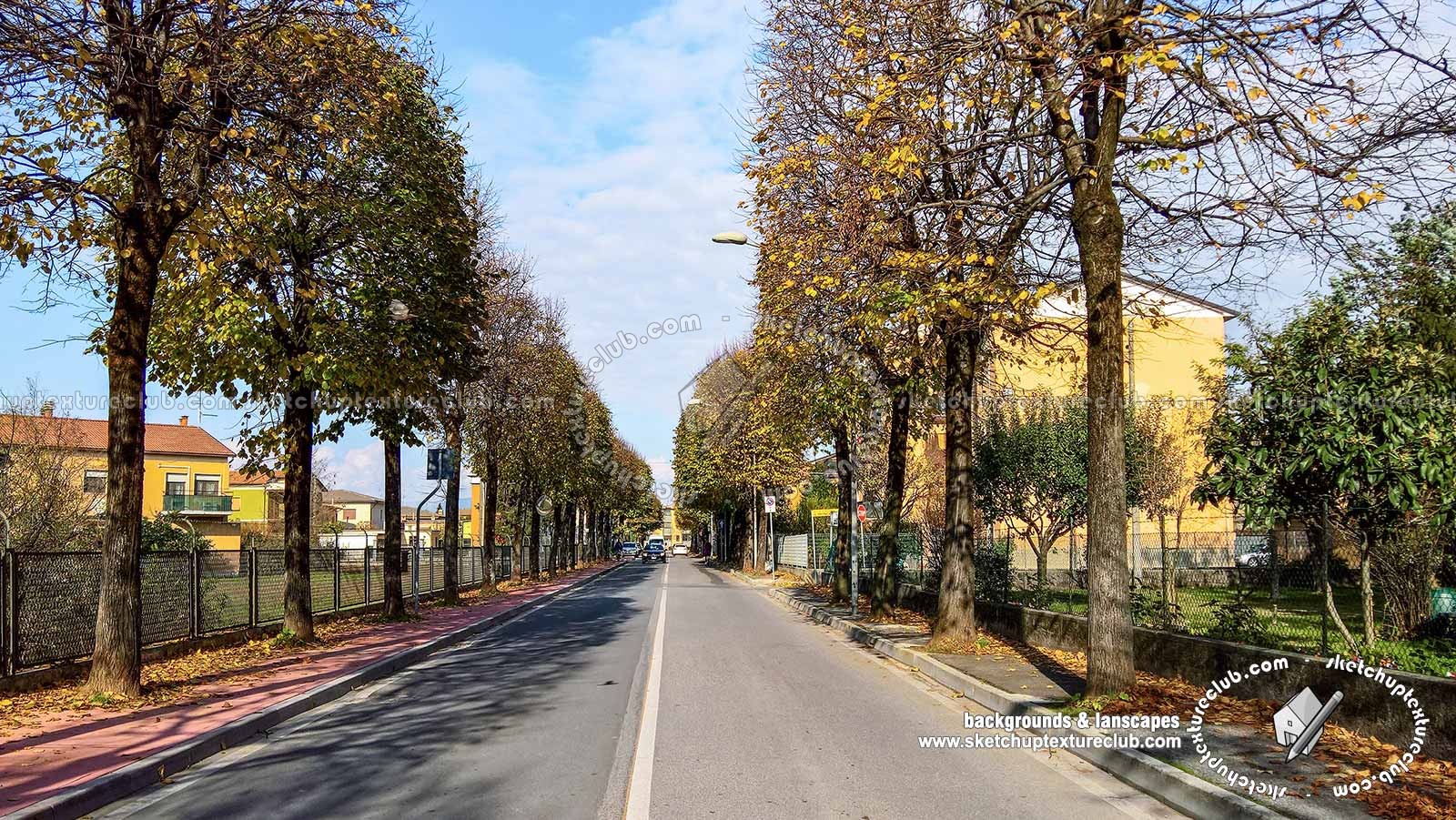 Textures   -   BACKGROUNDS & LANDSCAPES   -   CITY & TOWNS  - Avenue background with autumn trees 21046
