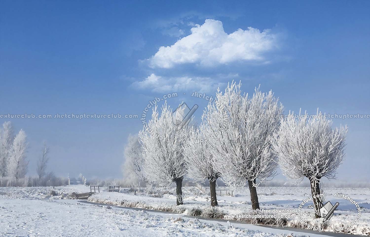 Textures   -   BACKGROUNDS & LANDSCAPES   -   NATURE   -   Countrysides & Hills  - Mulberries with snowy countryside landscape 20216