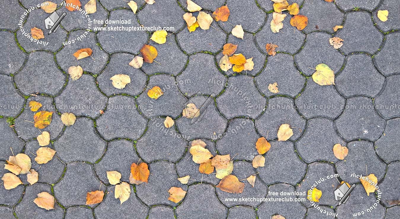 Textures   -   ARCHITECTURE   -   PAVING OUTDOOR   -   Concrete   -   Blocks regular  - Concrete paving outdoor with dead leaves texture seamless 19342 (seamless)