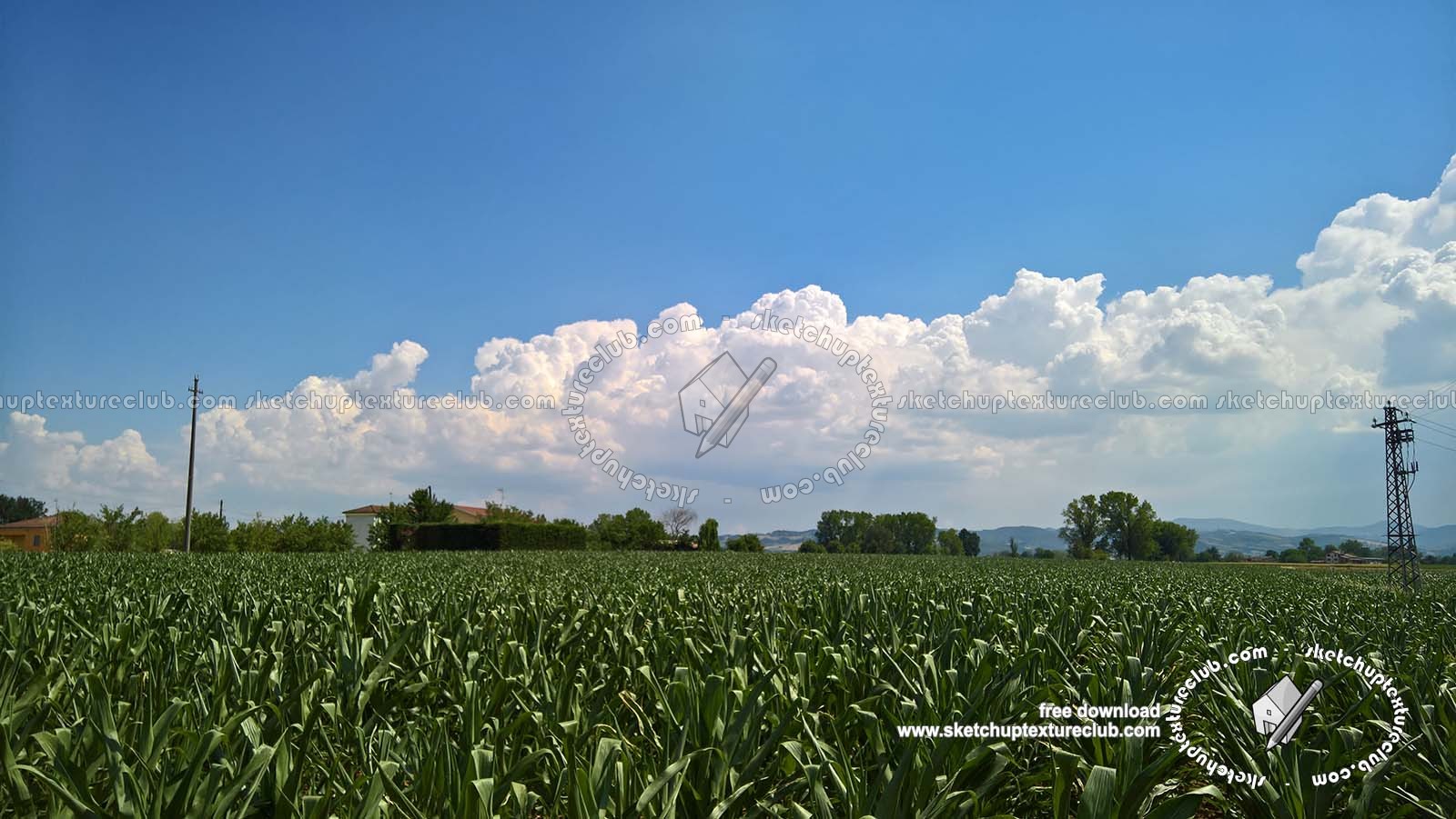 Textures   -   BACKGROUNDS & LANDSCAPES   -   NATURE   -   Countrysides & Hills  - Contryside landscape with cludy sky 20742