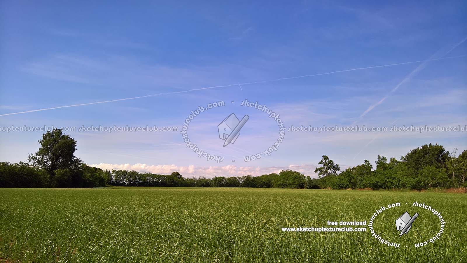 Textures   -   BACKGROUNDS &amp; LANDSCAPES   -   NATURE   -   Countrysides &amp; Hills  - Country landscape with trees in the background 20743