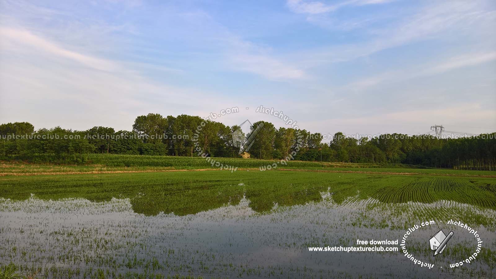 Textures   -   BACKGROUNDS &amp; LANDSCAPES   -   NATURE   -   Countrysides &amp; Hills  - Rice fields with trees in the background 20777