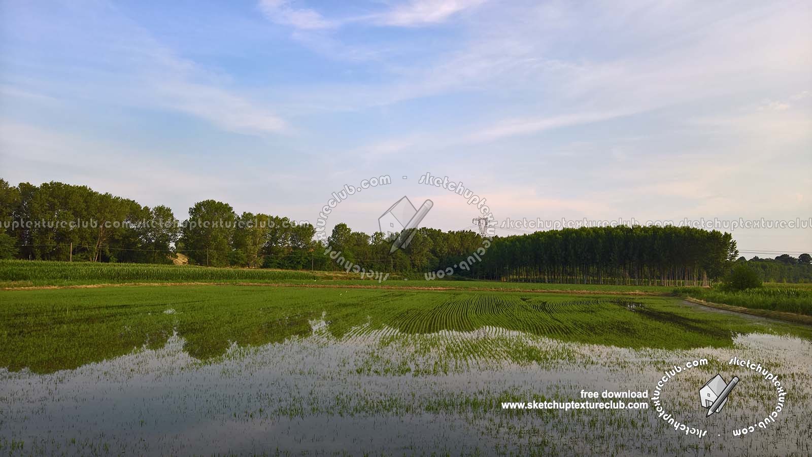 Textures   -   BACKGROUNDS & LANDSCAPES   -   NATURE   -   Countrysides & Hills  - Rice fields with trees in the background 20778