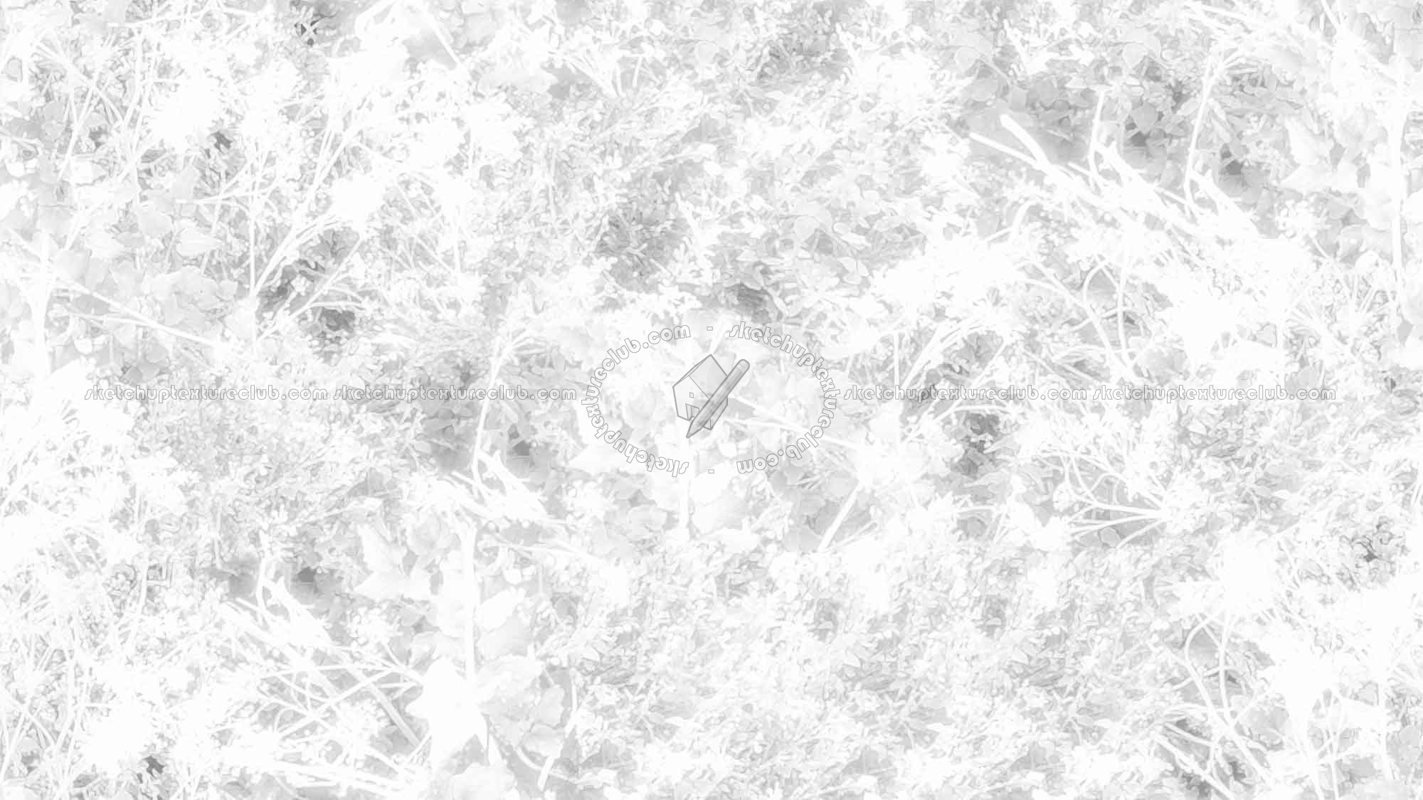 Textures   -   NATURE ELEMENTS   -   VEGETATION   -   Green grass  - Brambles texture seamless 17359 - Ambient occlusion