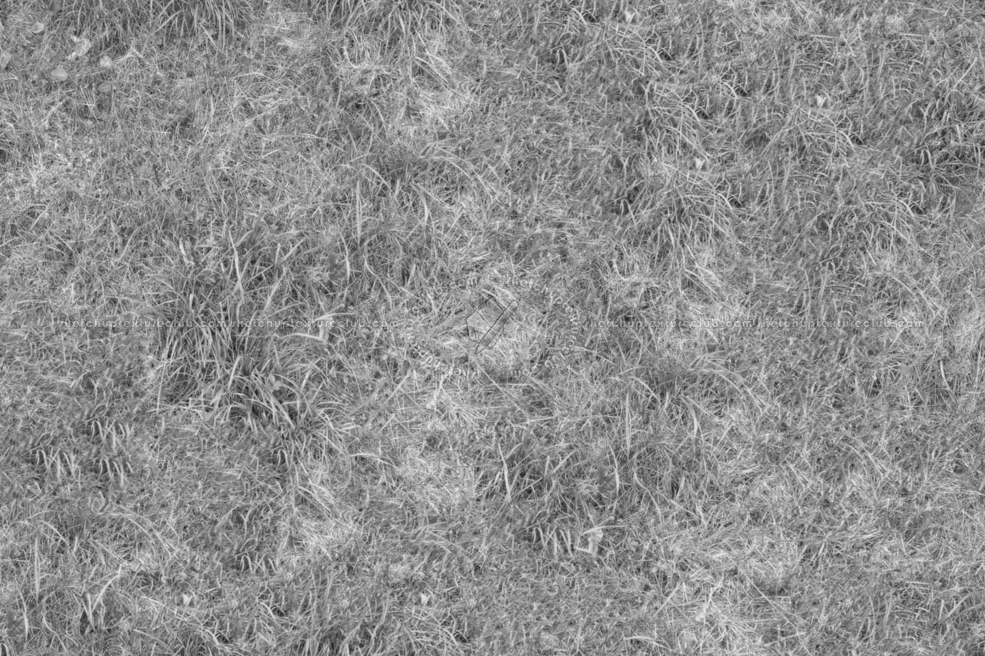 Textures   -   NATURE ELEMENTS   -   VEGETATION   -   Green grass  - Green grass texture seamless 17474 - Displacement