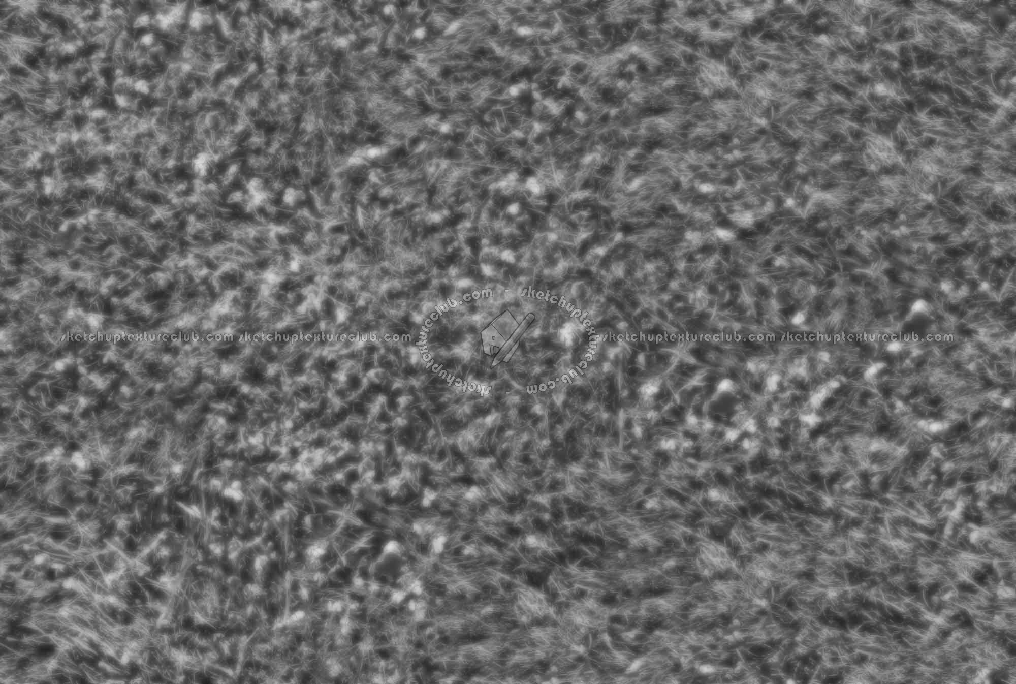 Textures   -   NATURE ELEMENTS   -   VEGETATION   -   Green grass  - Green grass texture seamless 17671 - Displacement