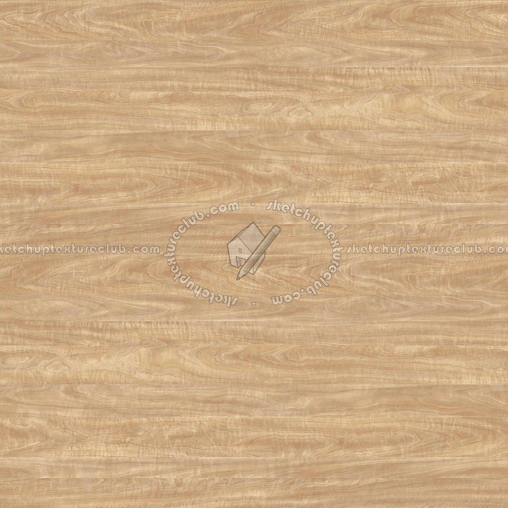 Textures   -   ARCHITECTURE   -   WOOD   -   Fine wood   -   Light wood  - light wood fine texture-seamless 05479 (seamless)