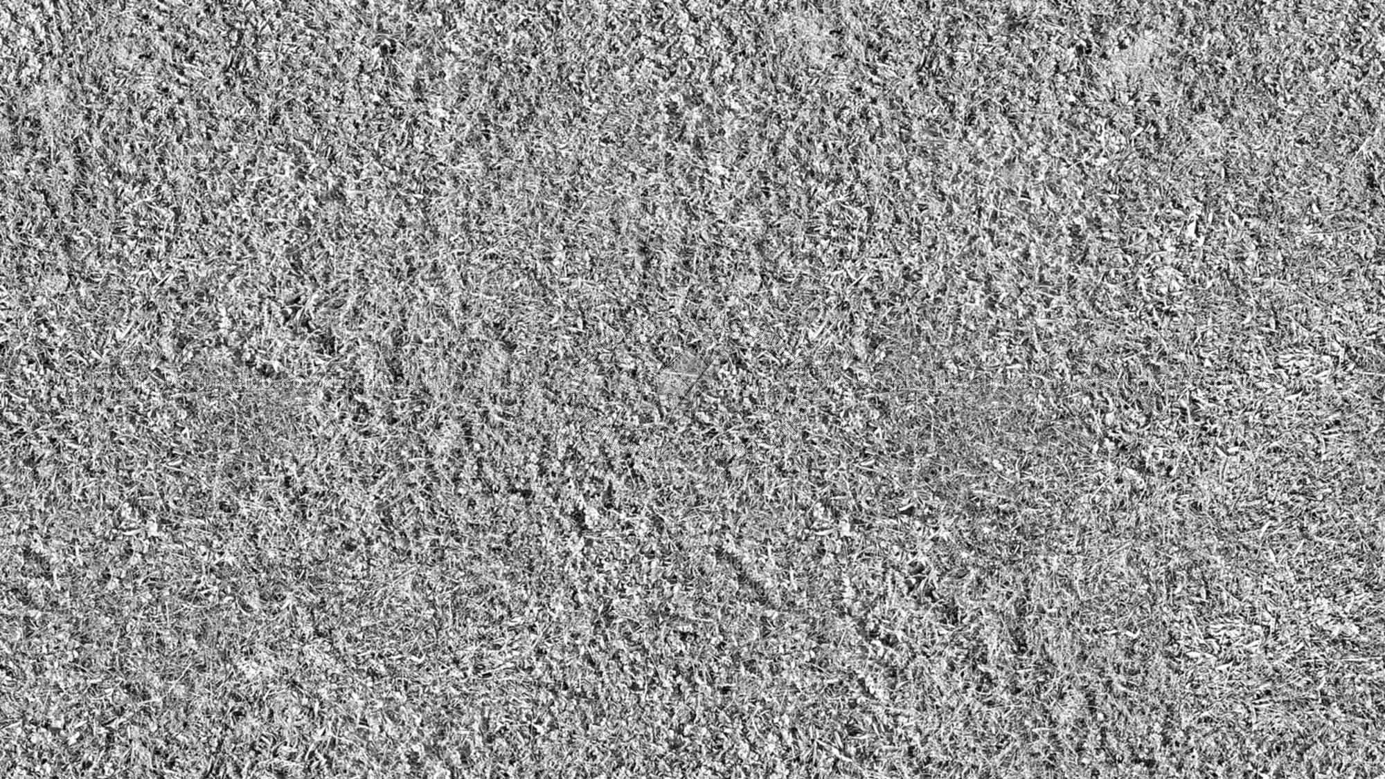 Textures   -   NATURE ELEMENTS   -   VEGETATION   -   Green grass  - Grass clippings texture seamless 17677 - Bump