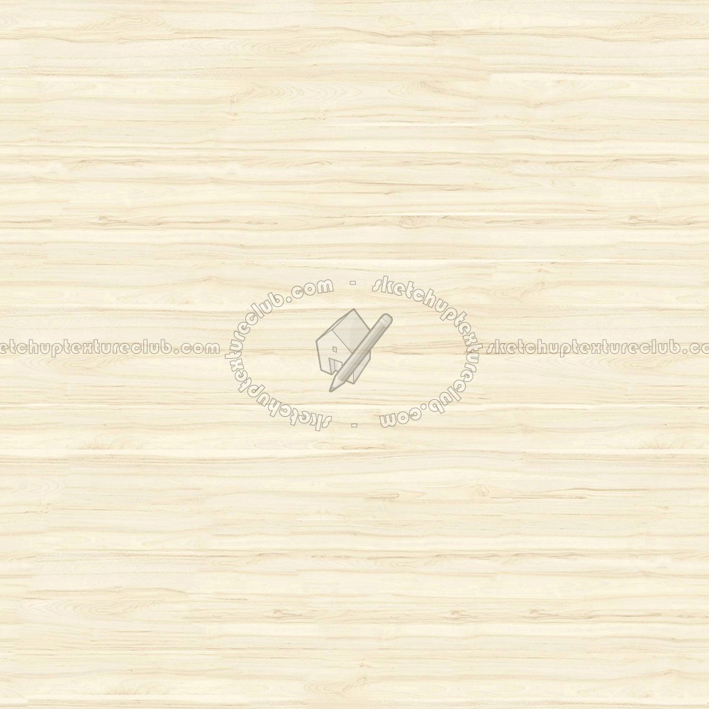 Textures   -   ARCHITECTURE   -   WOOD   -   Fine wood   -   Light wood  - Klon jersey fine wood texture seamless 16835 (seamless)