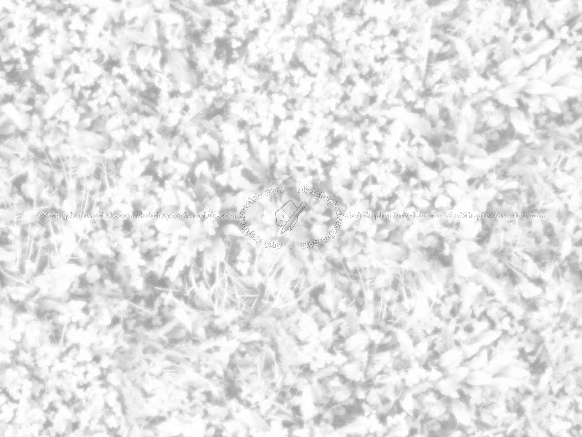 Textures   -   NATURE ELEMENTS   -   VEGETATION   -   Green grass  - Mixed grass with clover texture seamless 18244 - Ambient occlusion