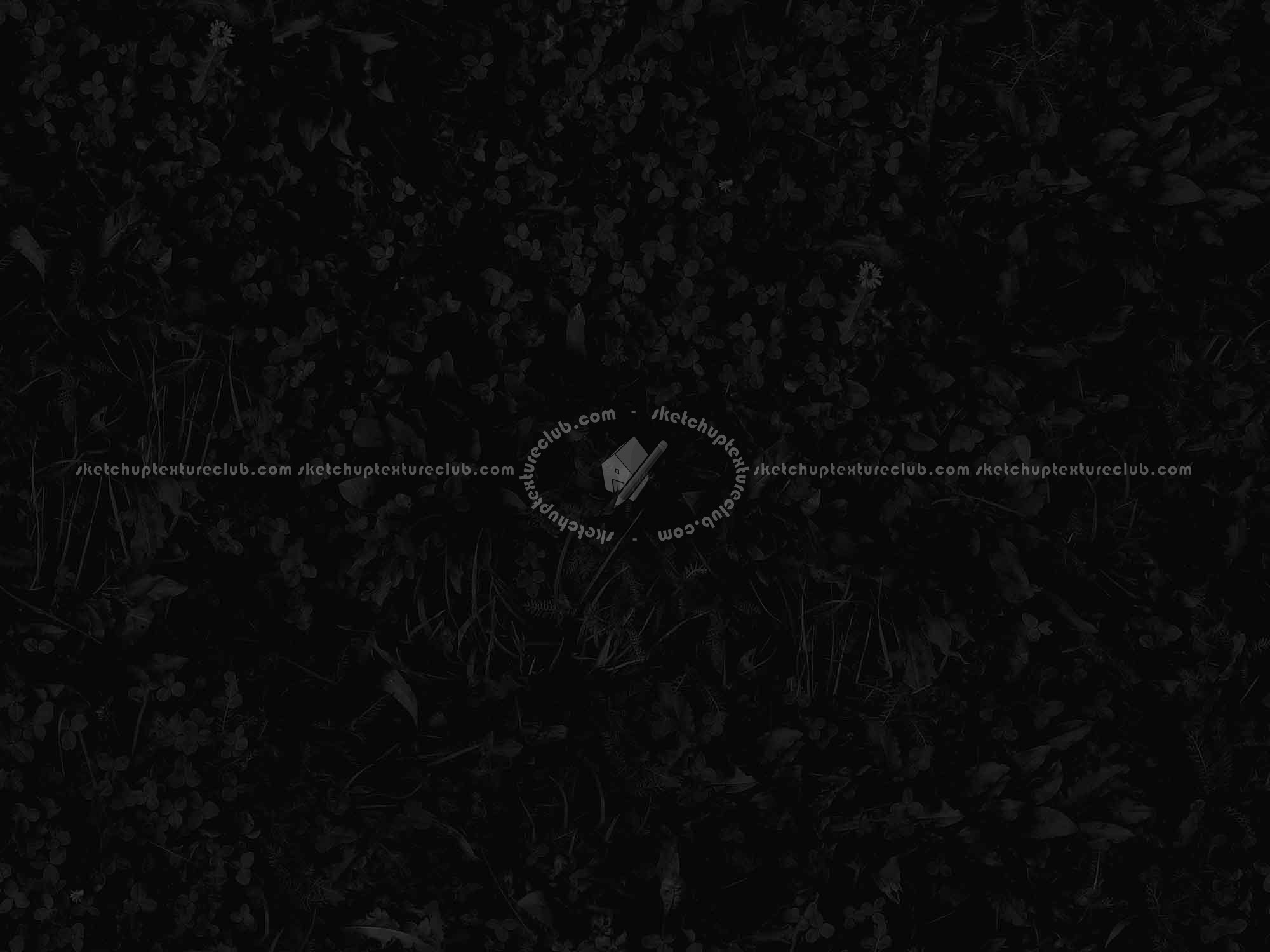 Textures   -   NATURE ELEMENTS   -   VEGETATION   -   Green grass  - Mixed grass with clover texture seamless 18244 - Specular