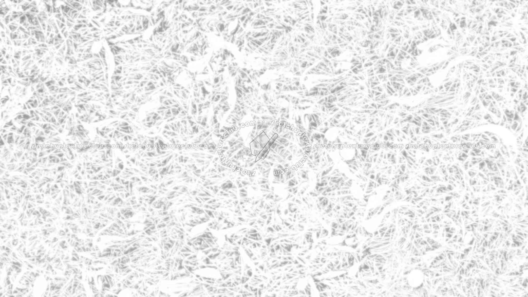 Textures   -   NATURE ELEMENTS   -   VEGETATION   -   Green grass  - Grass with dry leaves texture seamless 18247 - Ambient occlusion