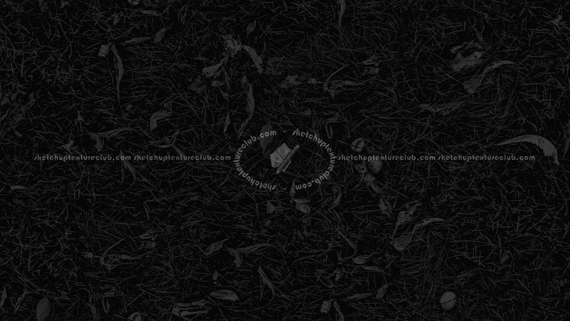 Textures   -   NATURE ELEMENTS   -   VEGETATION   -   Green grass  - Grass with dry leaves texture seamless 18247 - Specular