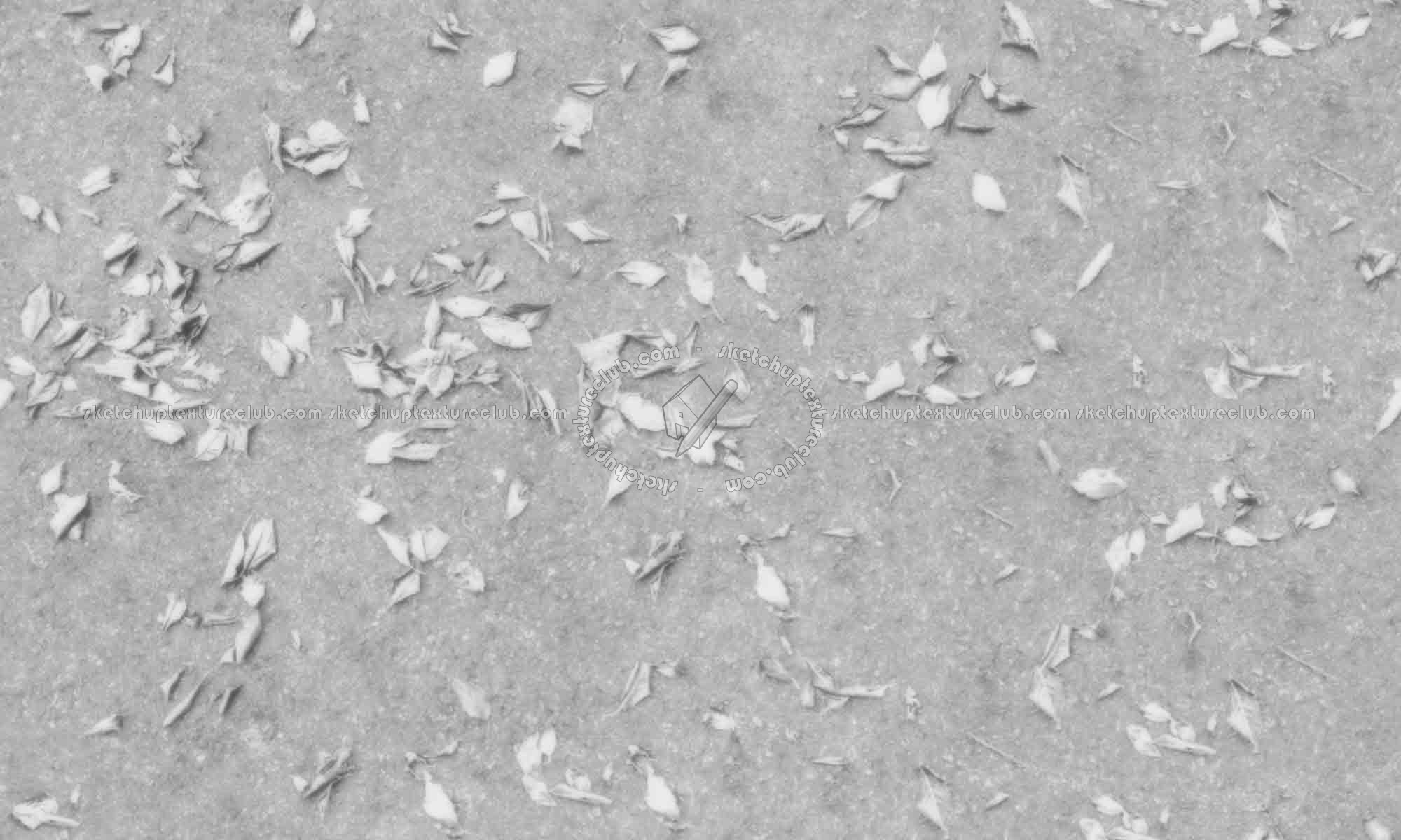 Textures   -   ARCHITECTURE   -   ROADS   -   Asphalt  - Asphalt with dead leaves texture seamless 19280 - Displacement