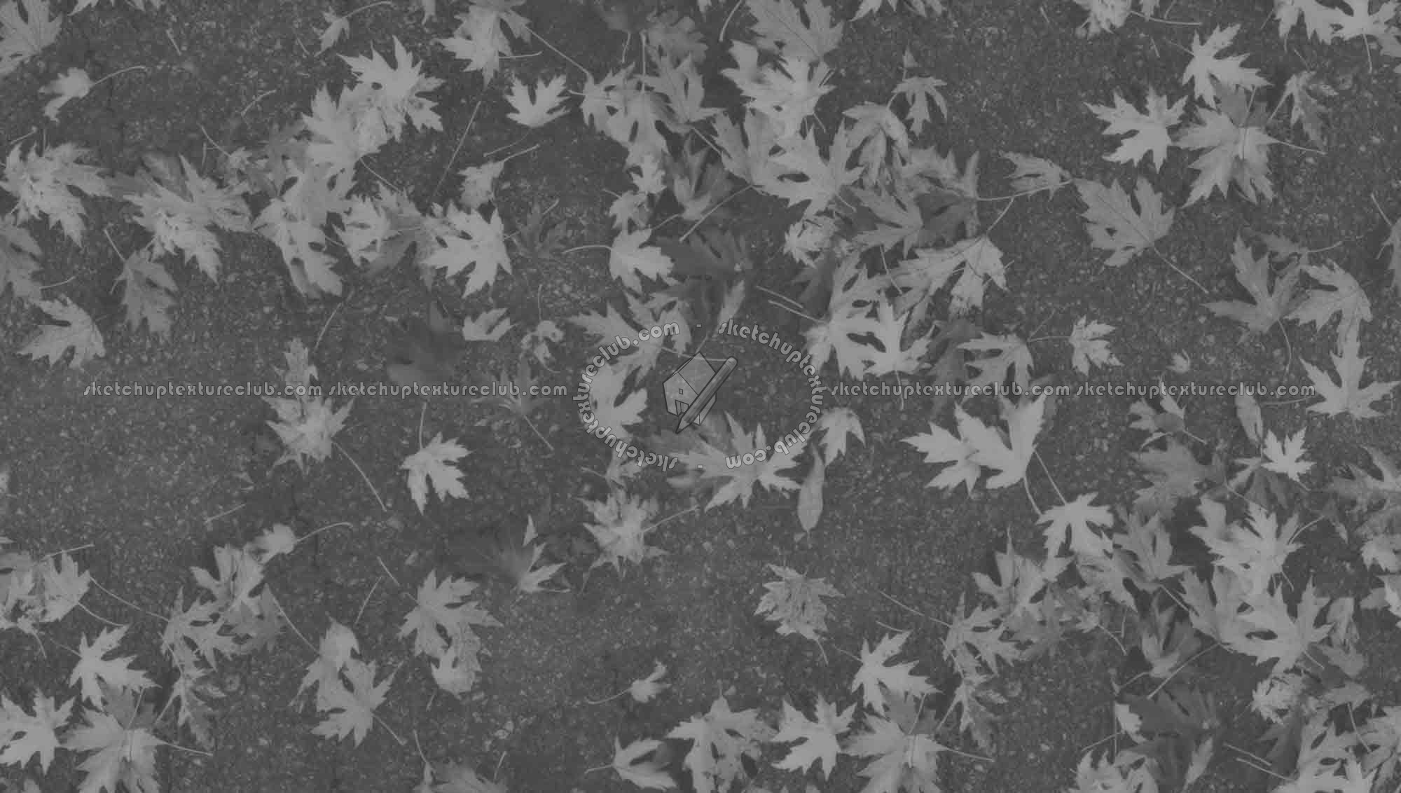 Textures   -   ARCHITECTURE   -   ROADS   -   Asphalt  - Asphalt with dead leaves texture seamless 19288 - Displacement