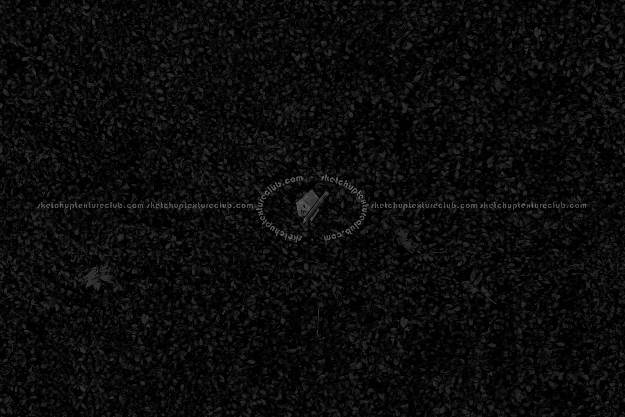 Textures   -   NATURE ELEMENTS   -   VEGETATION   -   Green grass  - Fat grass texture seamless 18844 - Specular