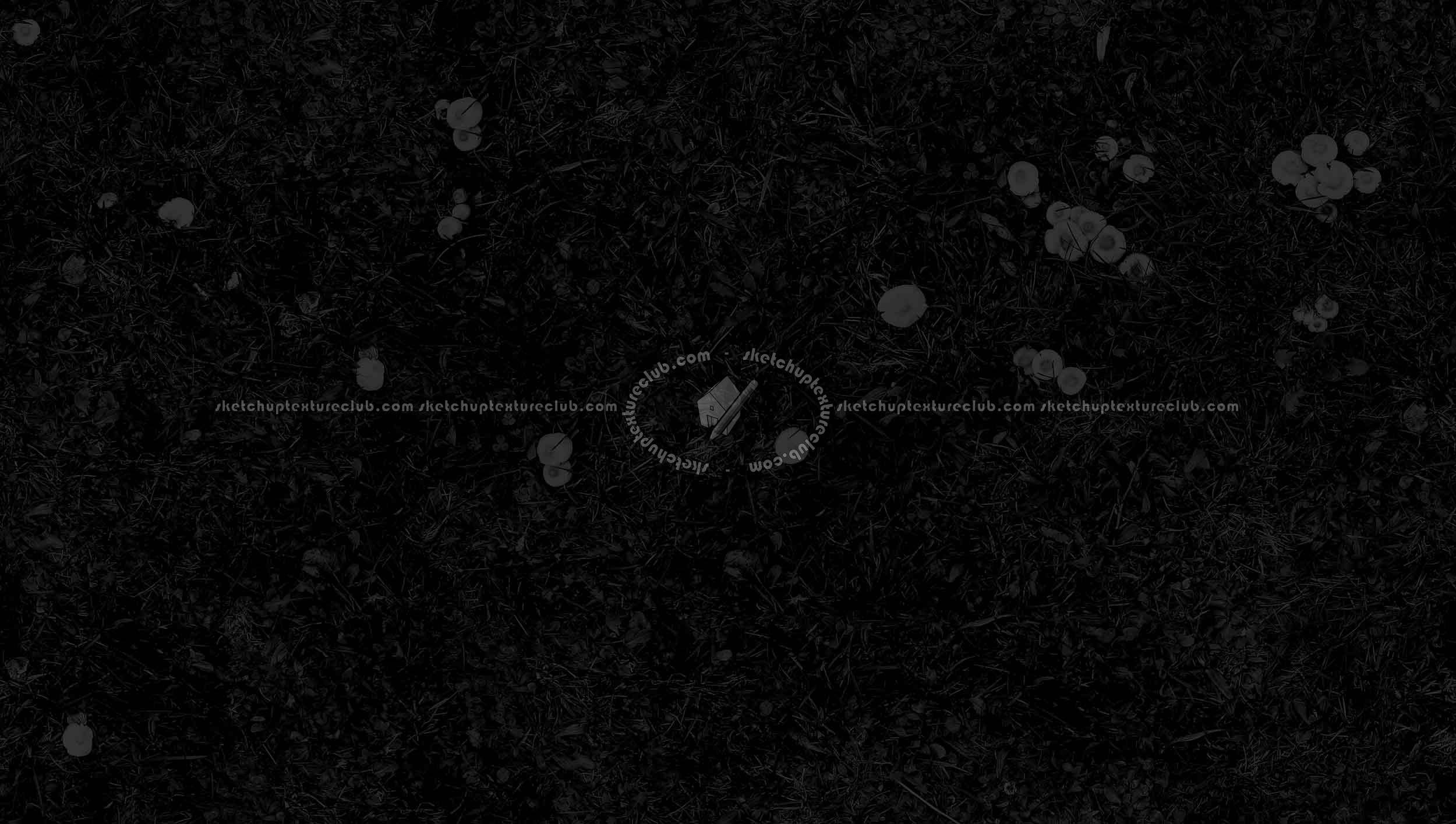 Textures   -   NATURE ELEMENTS   -   VEGETATION   -   Green grass  - Green grass with mushrooms texture seamless 19276 - Specular