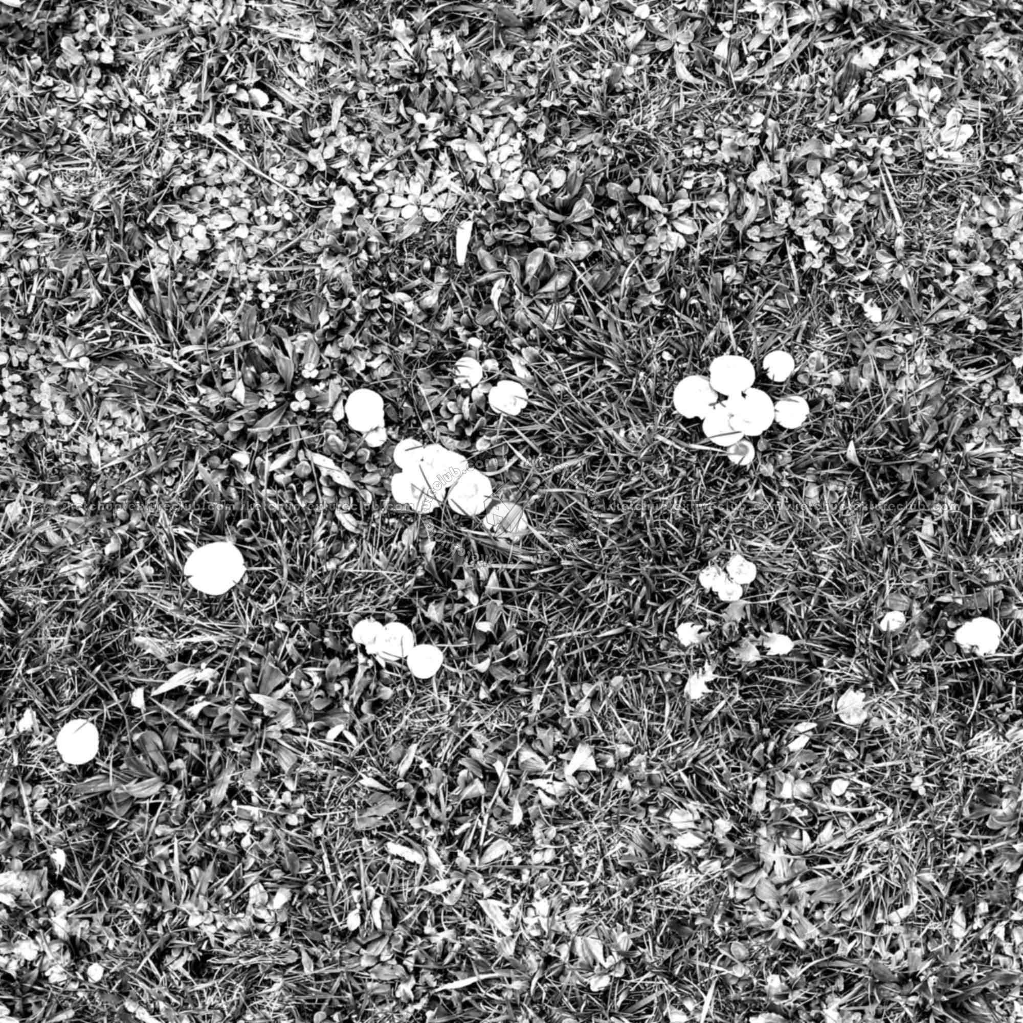 Textures   -   NATURE ELEMENTS   -   VEGETATION   -   Green grass  - Green grass with mushrooms texture seamless 19277 - Bump