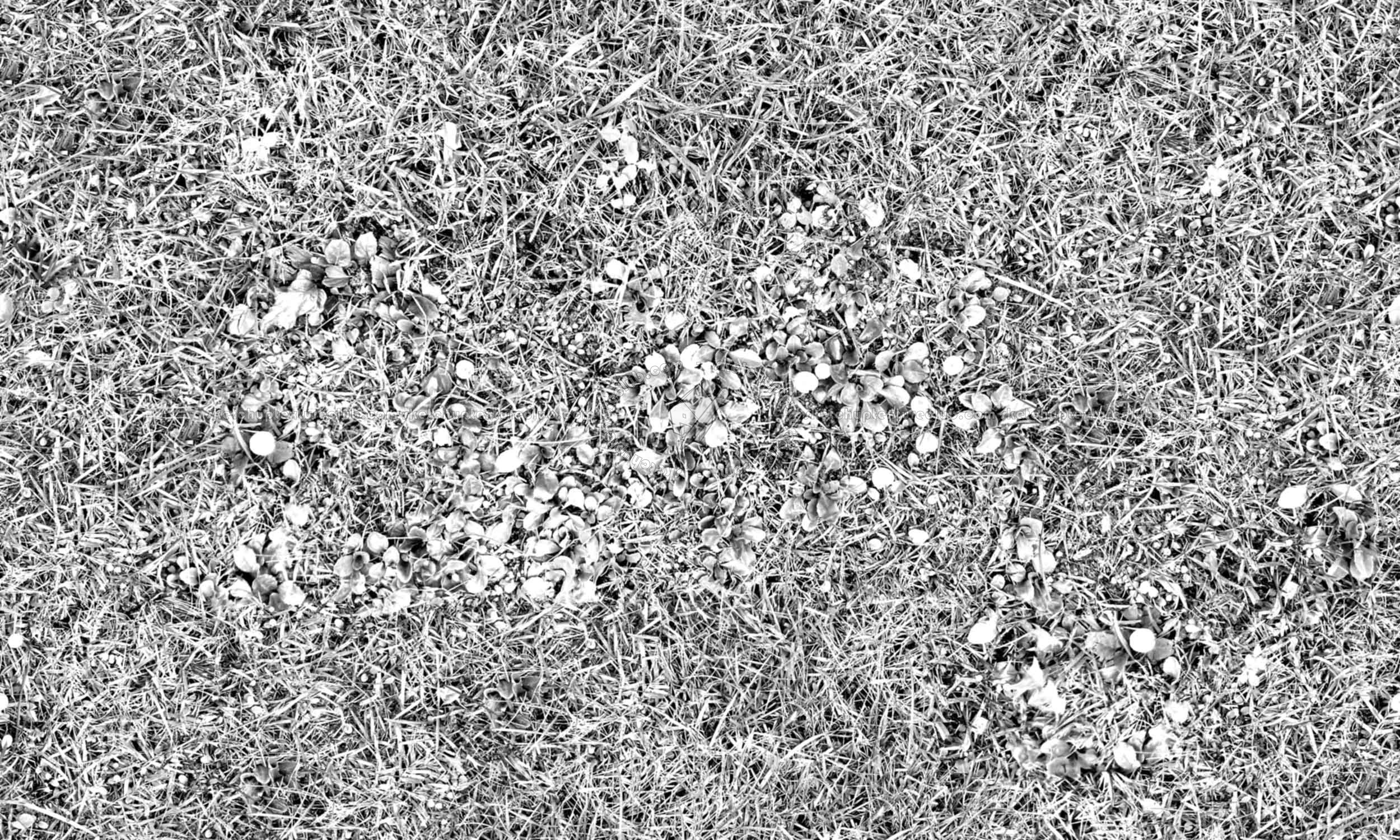 Textures   -   NATURE ELEMENTS   -   VEGETATION   -   Green grass  - Green grass with mushrooms texture seamless 19278 - Bump