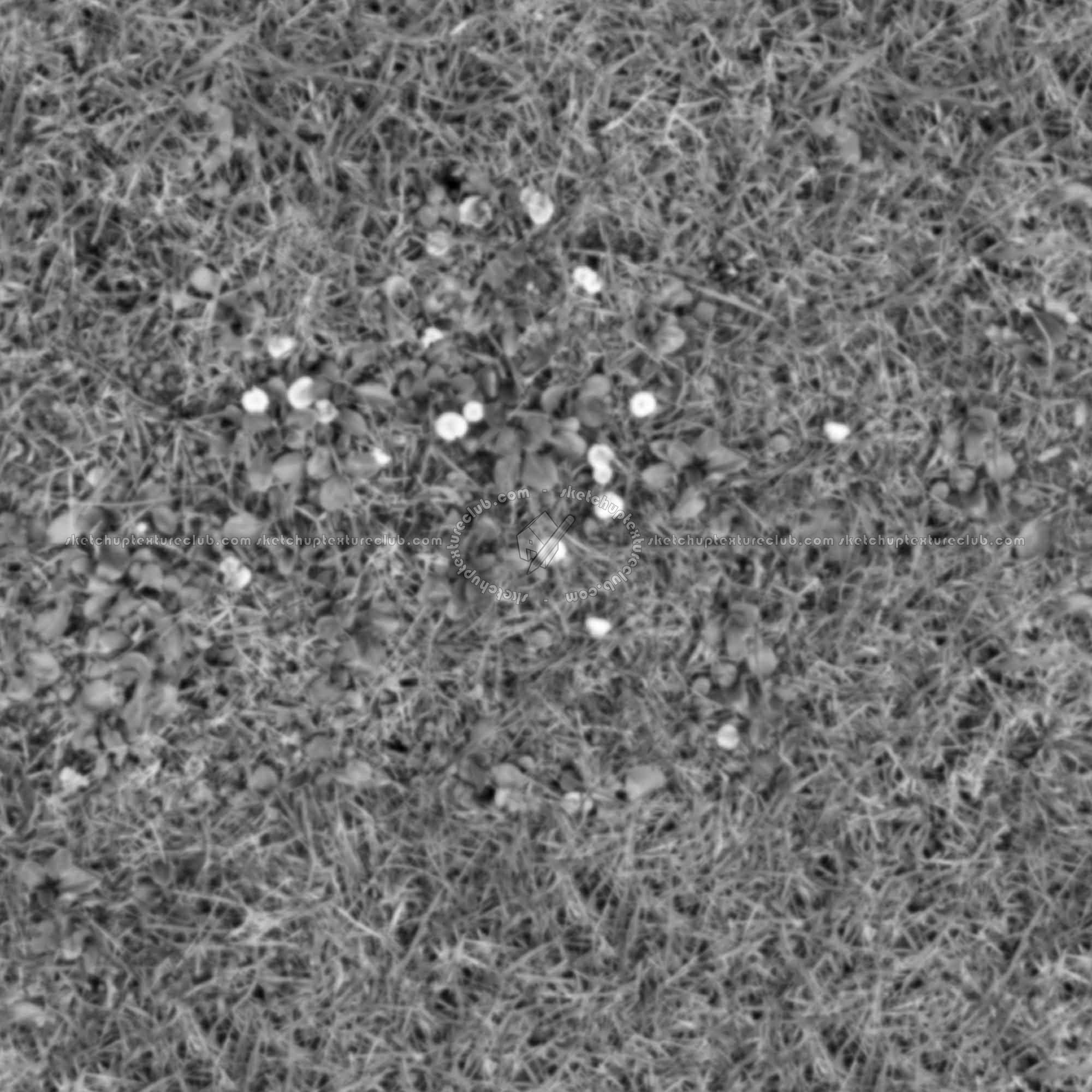 Textures   -   NATURE ELEMENTS   -   VEGETATION   -   Green grass  - Green grass with mushrooms texture seamless 19279 - Displacement