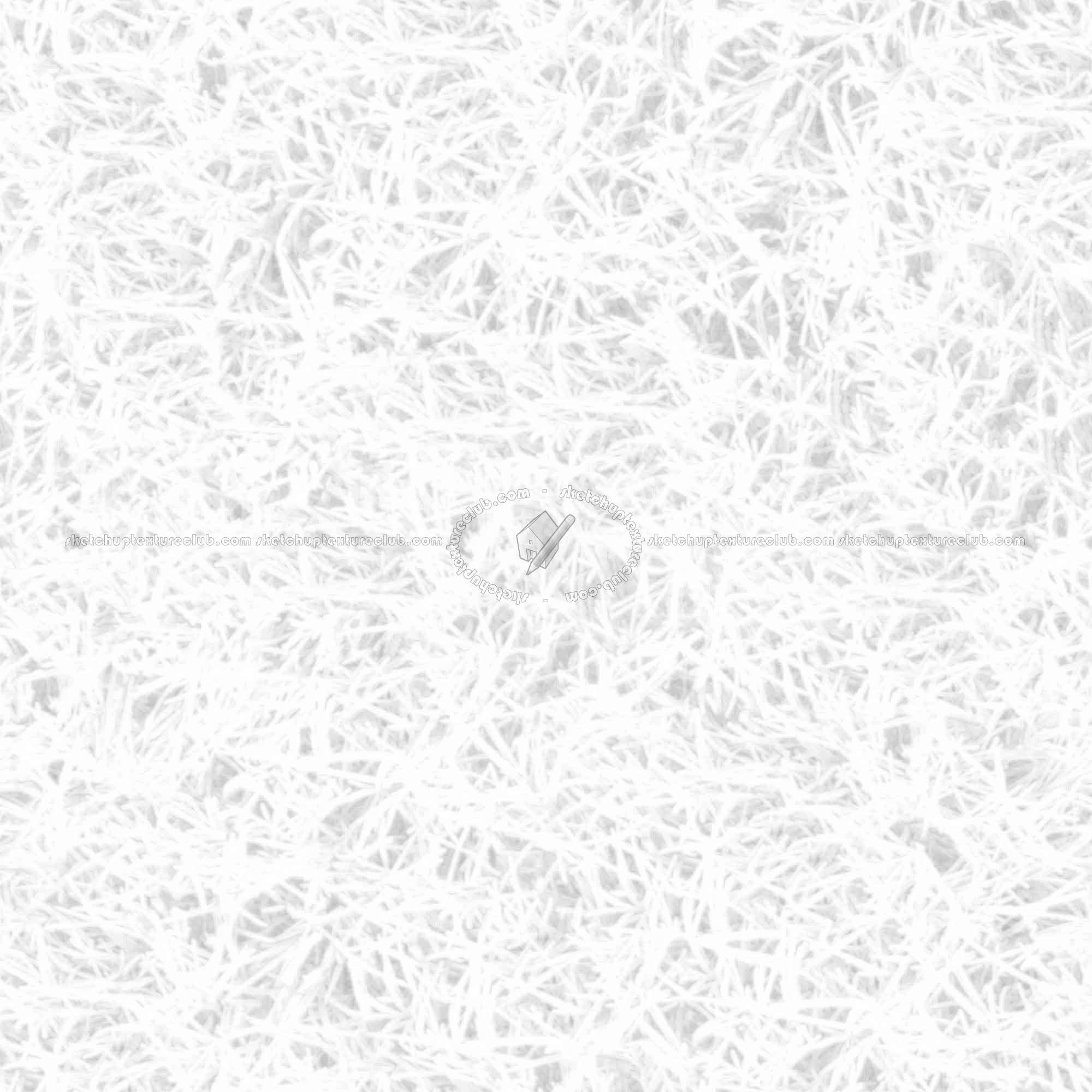 Textures   -   NATURE ELEMENTS   -   VEGETATION   -   Green grass  - Frozen grass texture seamless 19670 - Ambient occlusion