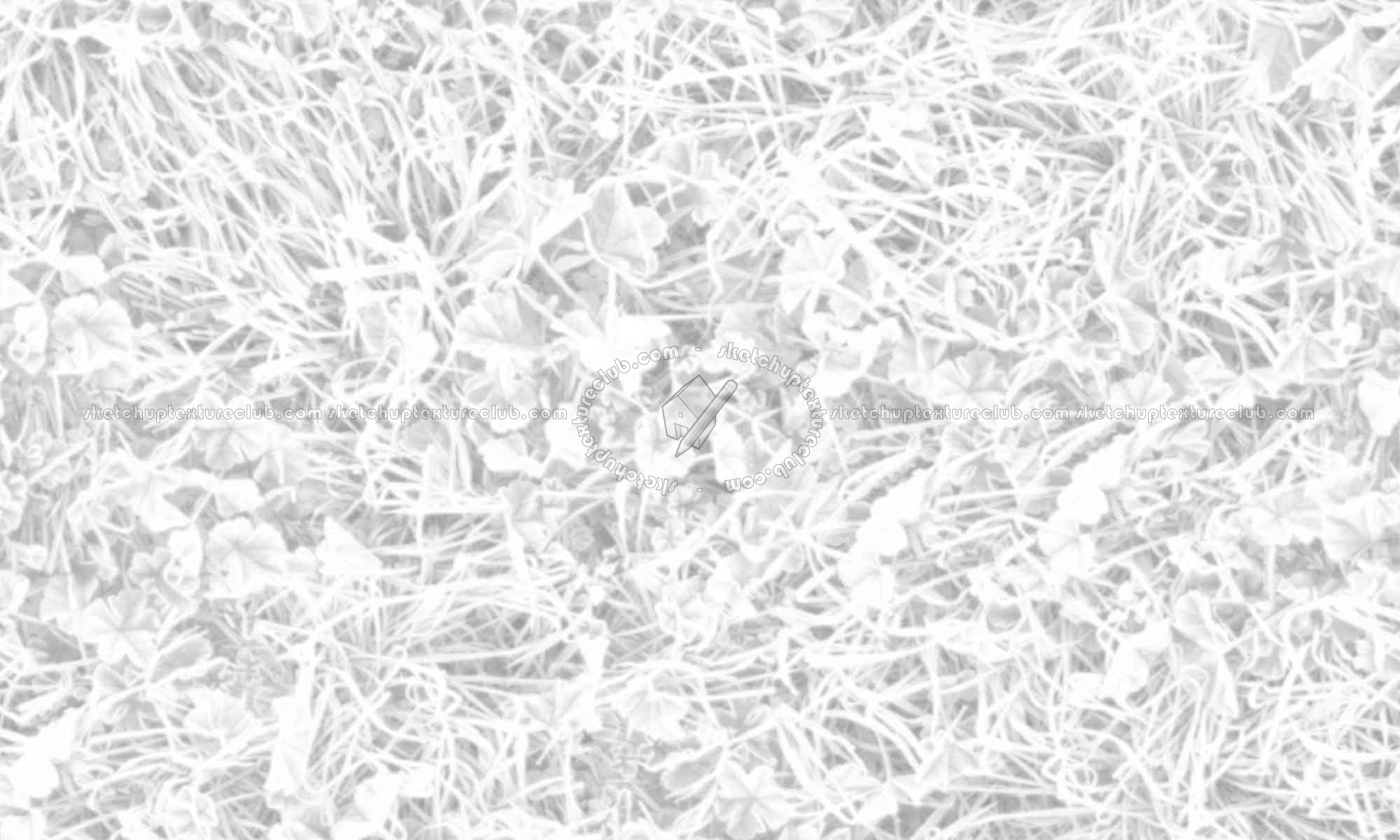 Textures   -   NATURE ELEMENTS   -   VEGETATION   -   Green grass  - Frozen grass texture seamless 19671 - Ambient occlusion
