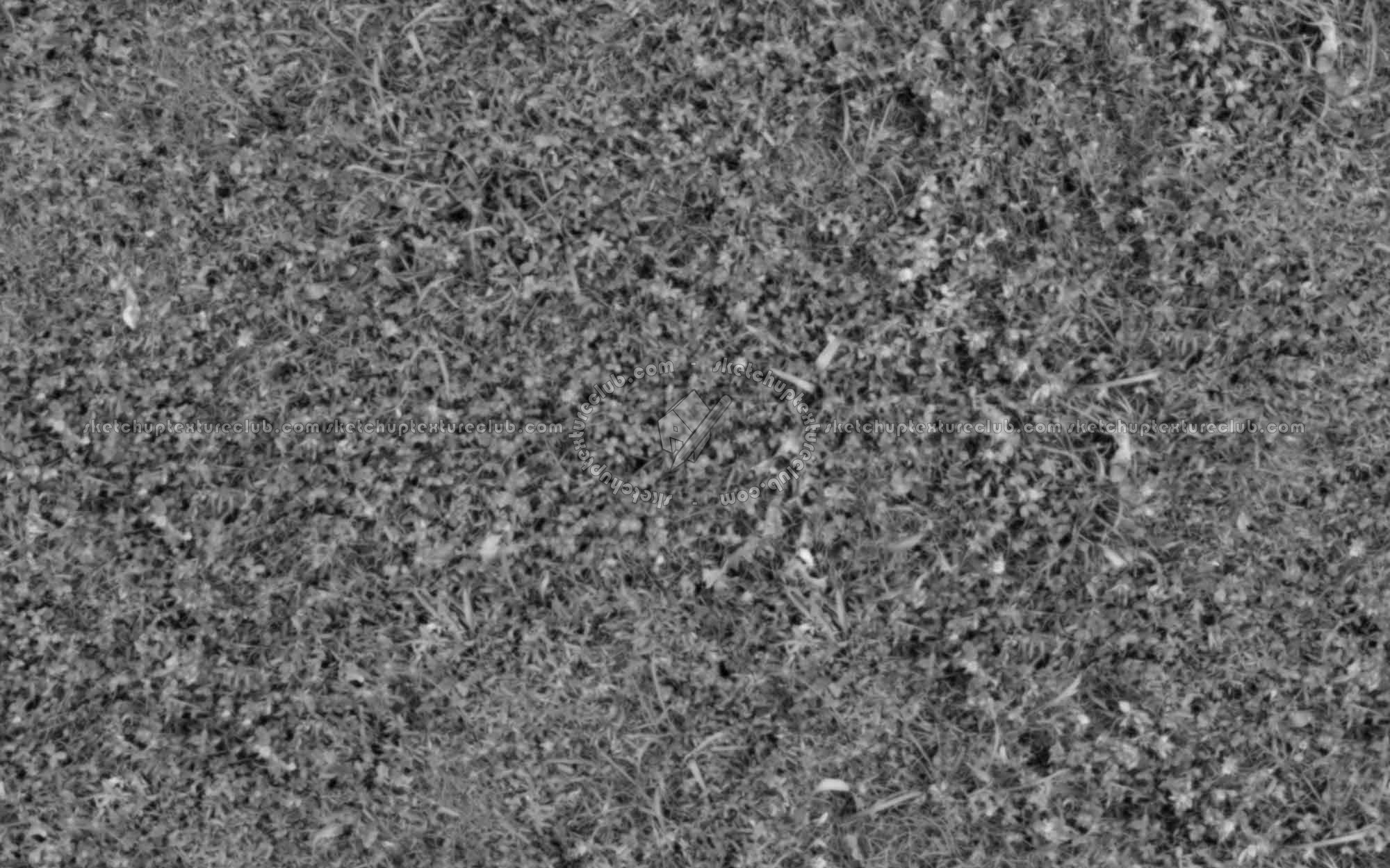 Textures   -   NATURE ELEMENTS   -   VEGETATION   -   Green grass  - Wild green grass texture seamless 20654 - Displacement