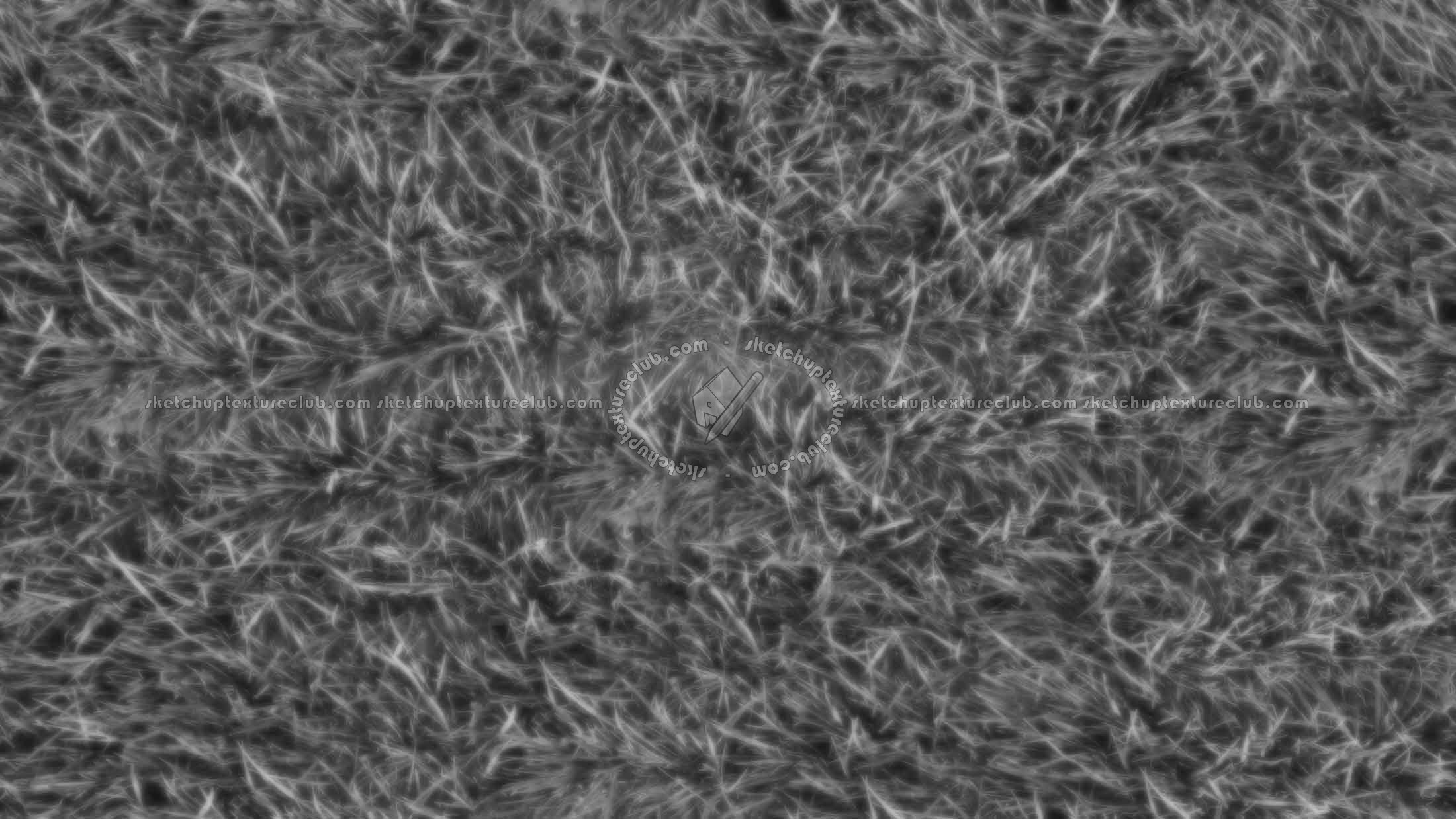 Textures   -   NATURE ELEMENTS   -   VEGETATION   -   Green grass  - Green grass texture seamless 20771 - Displacement