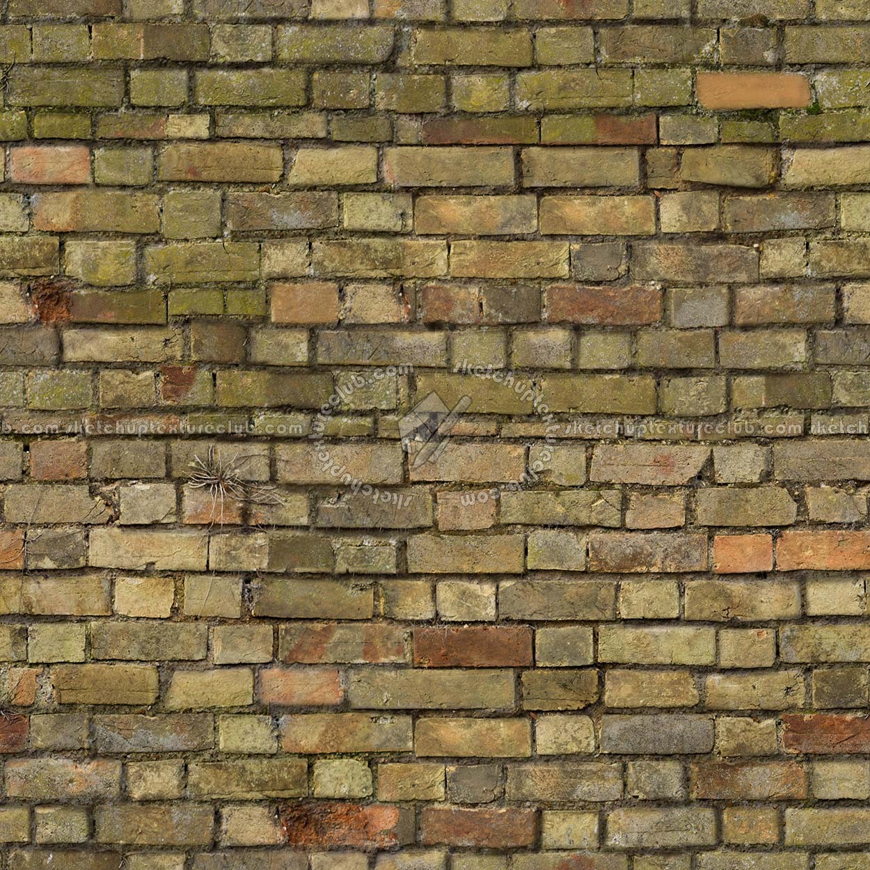 Textures   -   ARCHITECTURE   -   BRICKS   -   Damaged bricks  - Damaged bricks texture seamless 00116 (seamless)