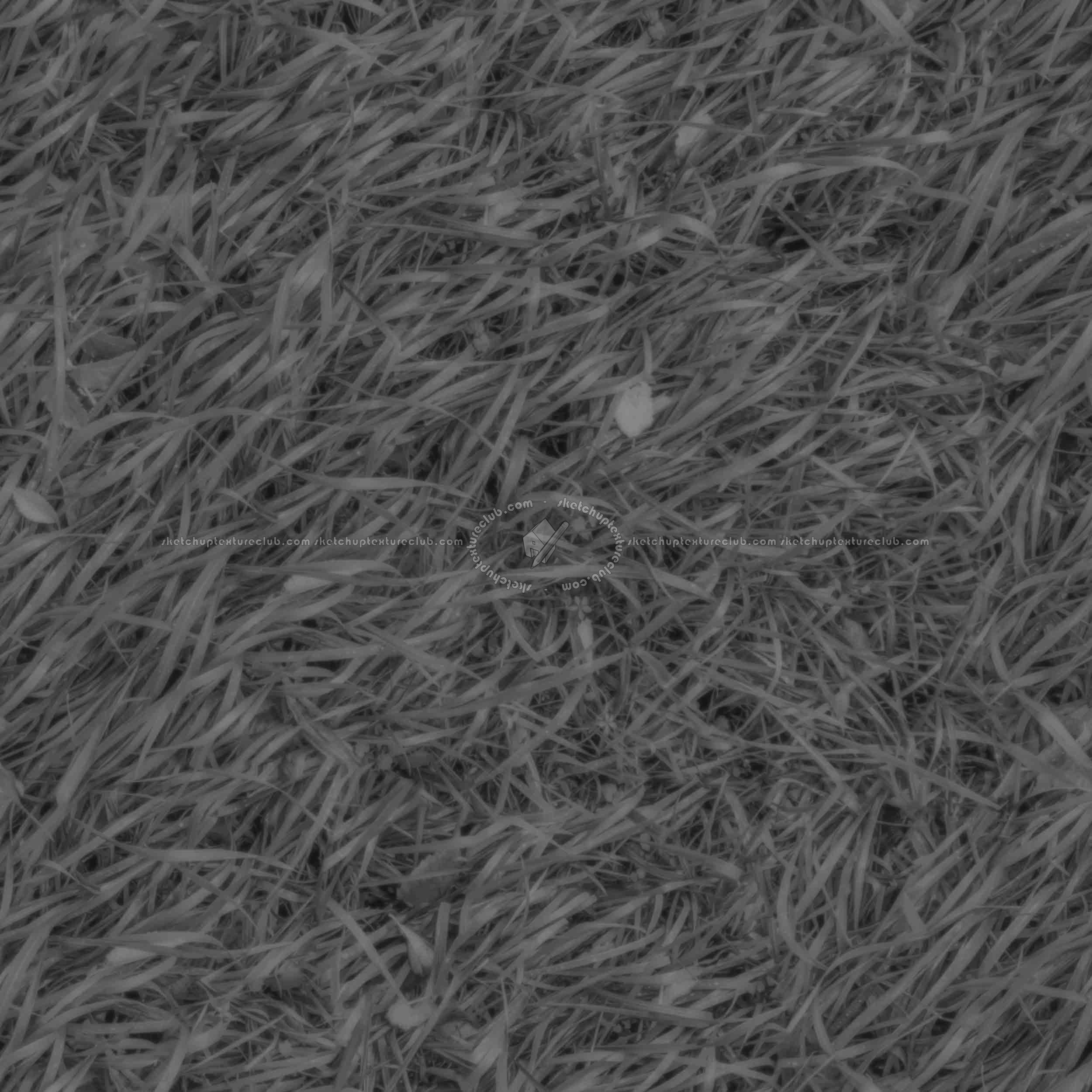 Textures   -   NATURE ELEMENTS   -   VEGETATION   -   Green grass  - Green grass PBR texture seamless 21693 - Displacement