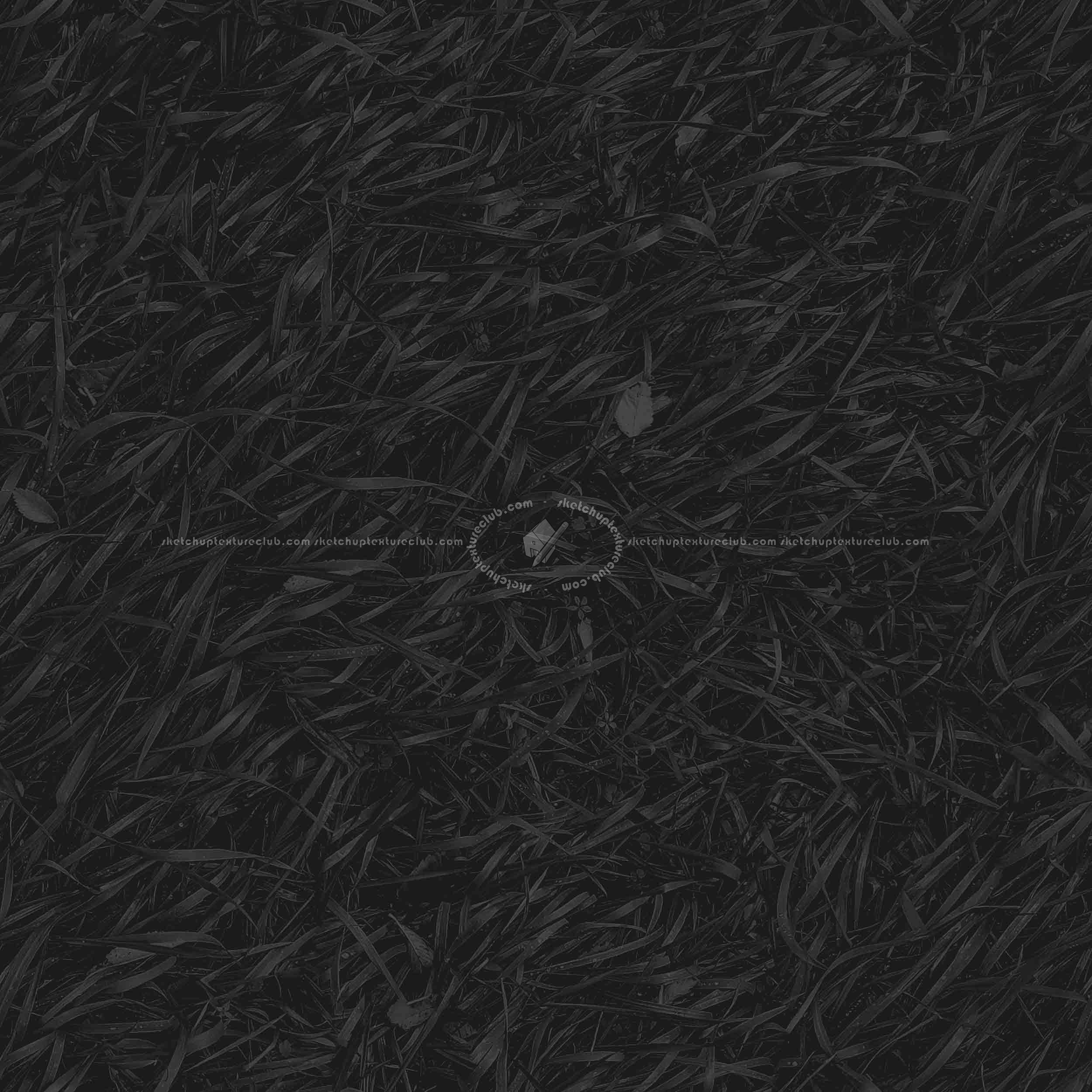 Textures   -   NATURE ELEMENTS   -   VEGETATION   -   Green grass  - Green grass PBR texture seamless 21693 - Specular