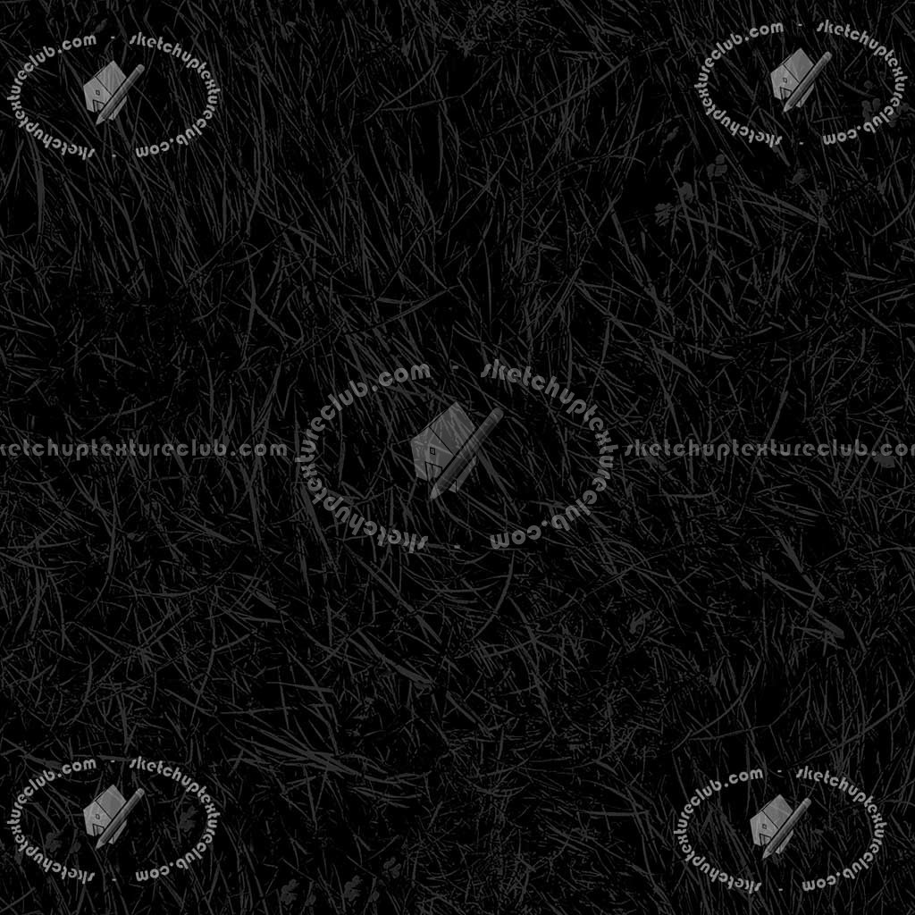 Textures   -   NATURE ELEMENTS   -   VEGETATION   -   Green grass  - Green grass texture seamless 12968 - Specular