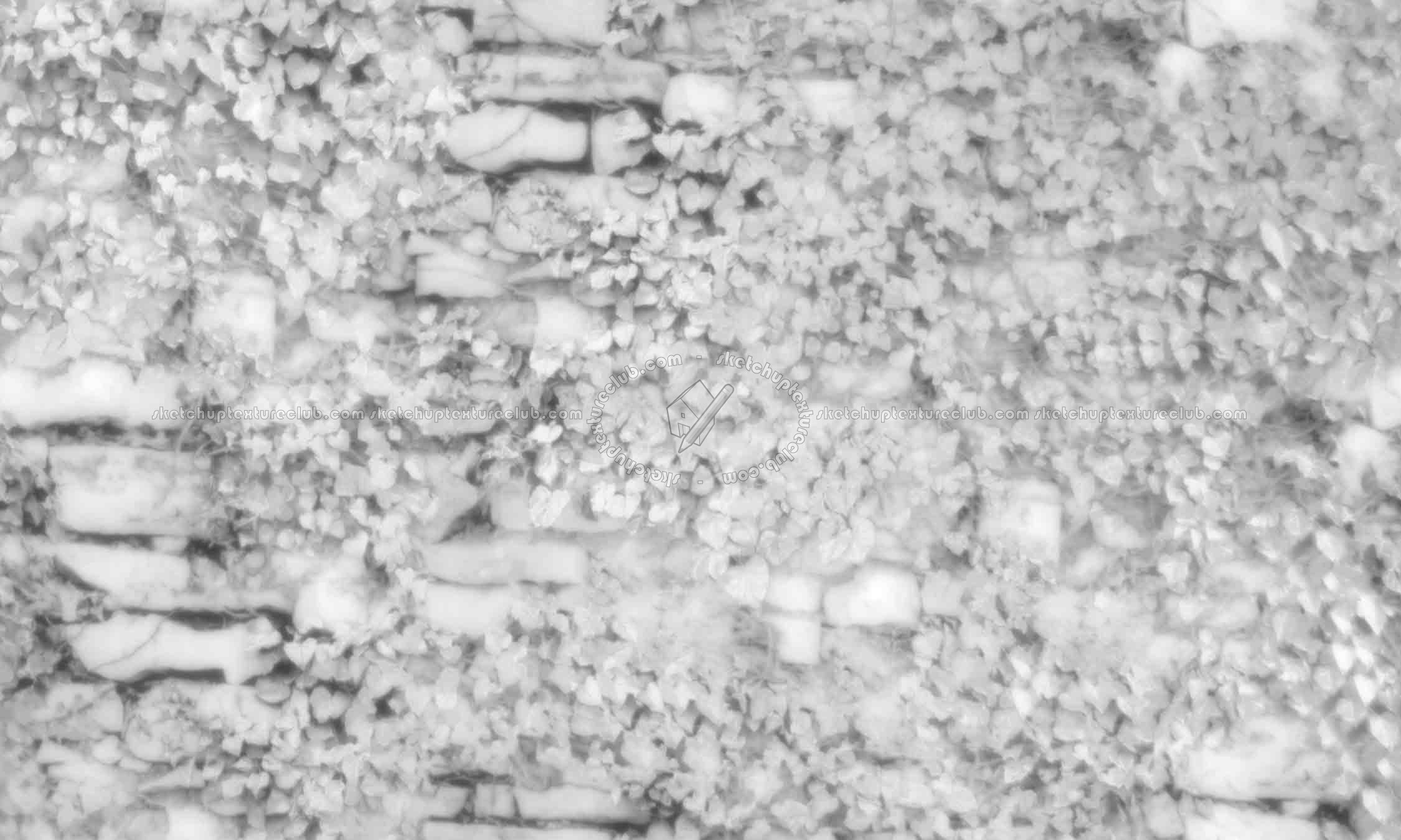 Textures   -   ARCHITECTURE   -   STONES WALLS   -   Stone walls  - Old wall stone with ivy texture seamless 19812 - Displacement