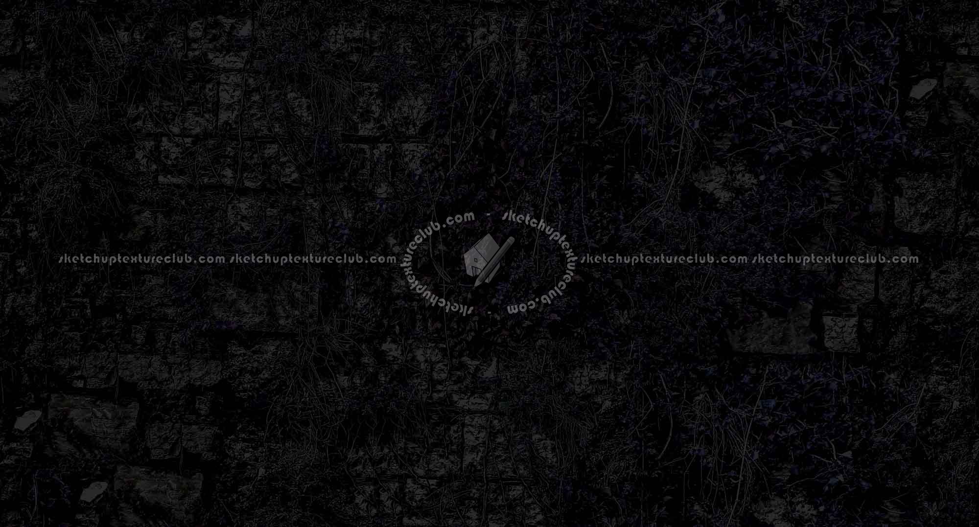 Textures   -   ARCHITECTURE   -   STONES WALLS   -   Stone walls  - Old stone wall with climbing plants texture seamless 20774 - Specular