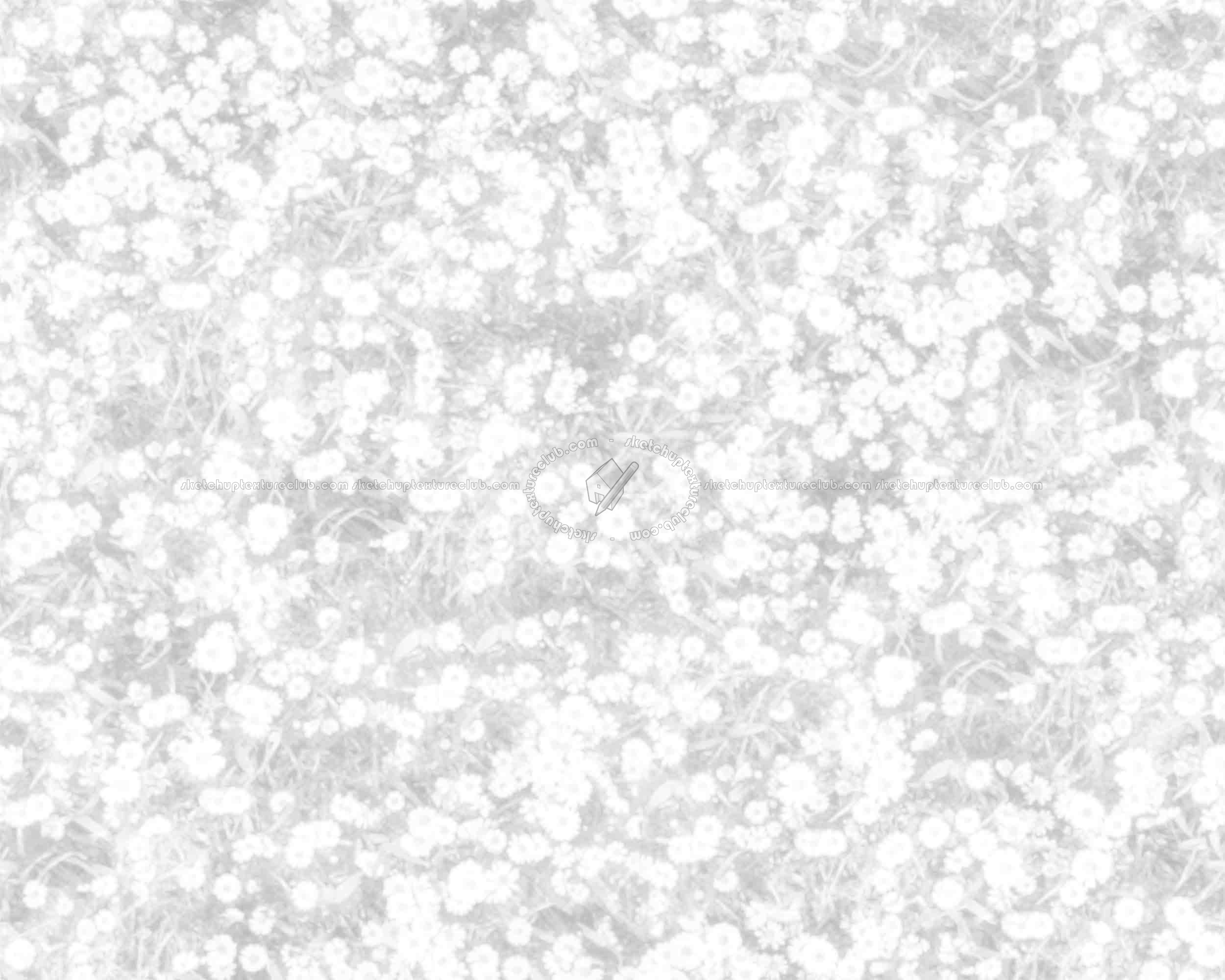 Textures   -   NATURE ELEMENTS   -   VEGETATION   -   Flowery fields  - Flowery meadow texture seamless 12966 - Ambient occlusion