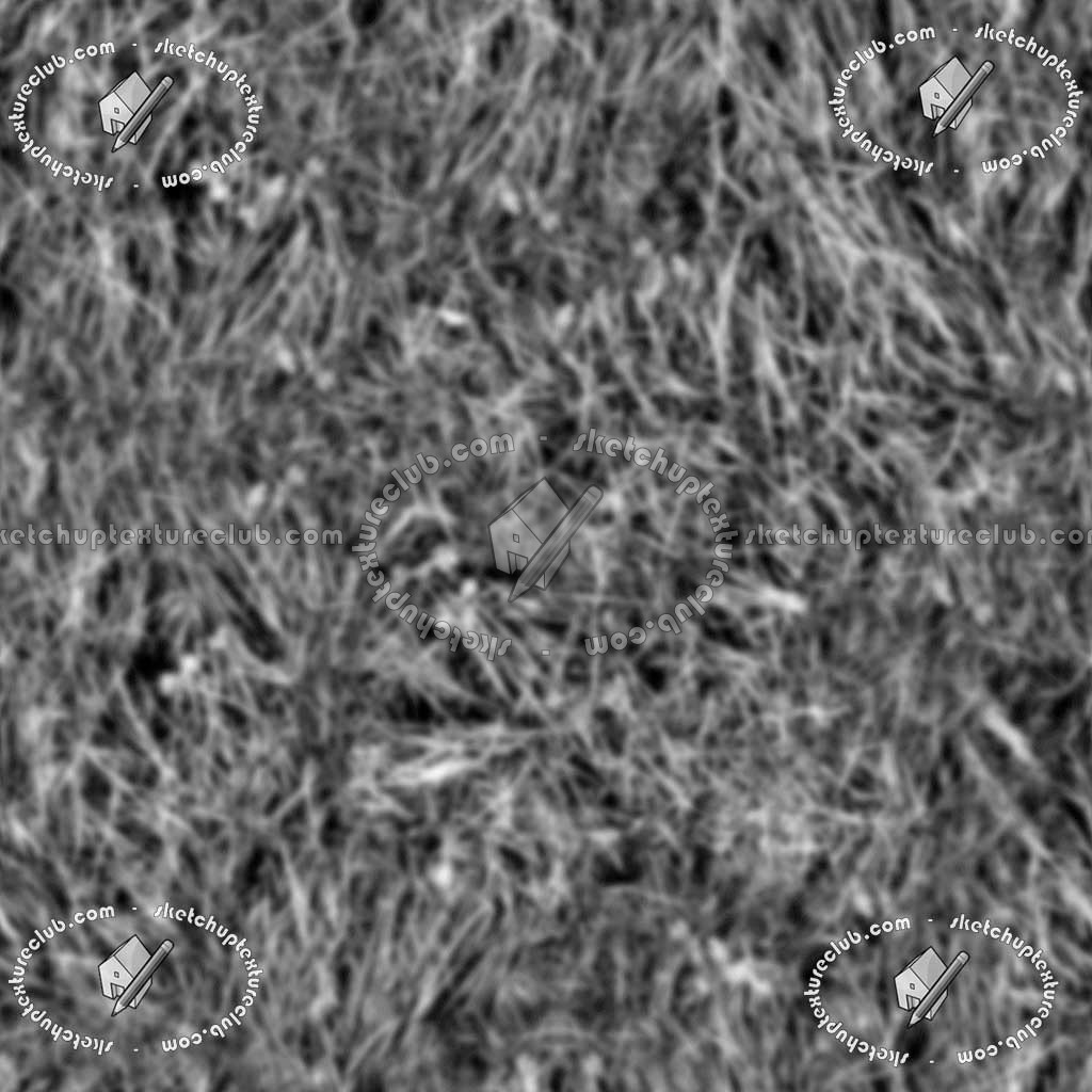 Textures   -   NATURE ELEMENTS   -   VEGETATION   -   Green grass  - Green grass texture seamless 12969 - Displacement