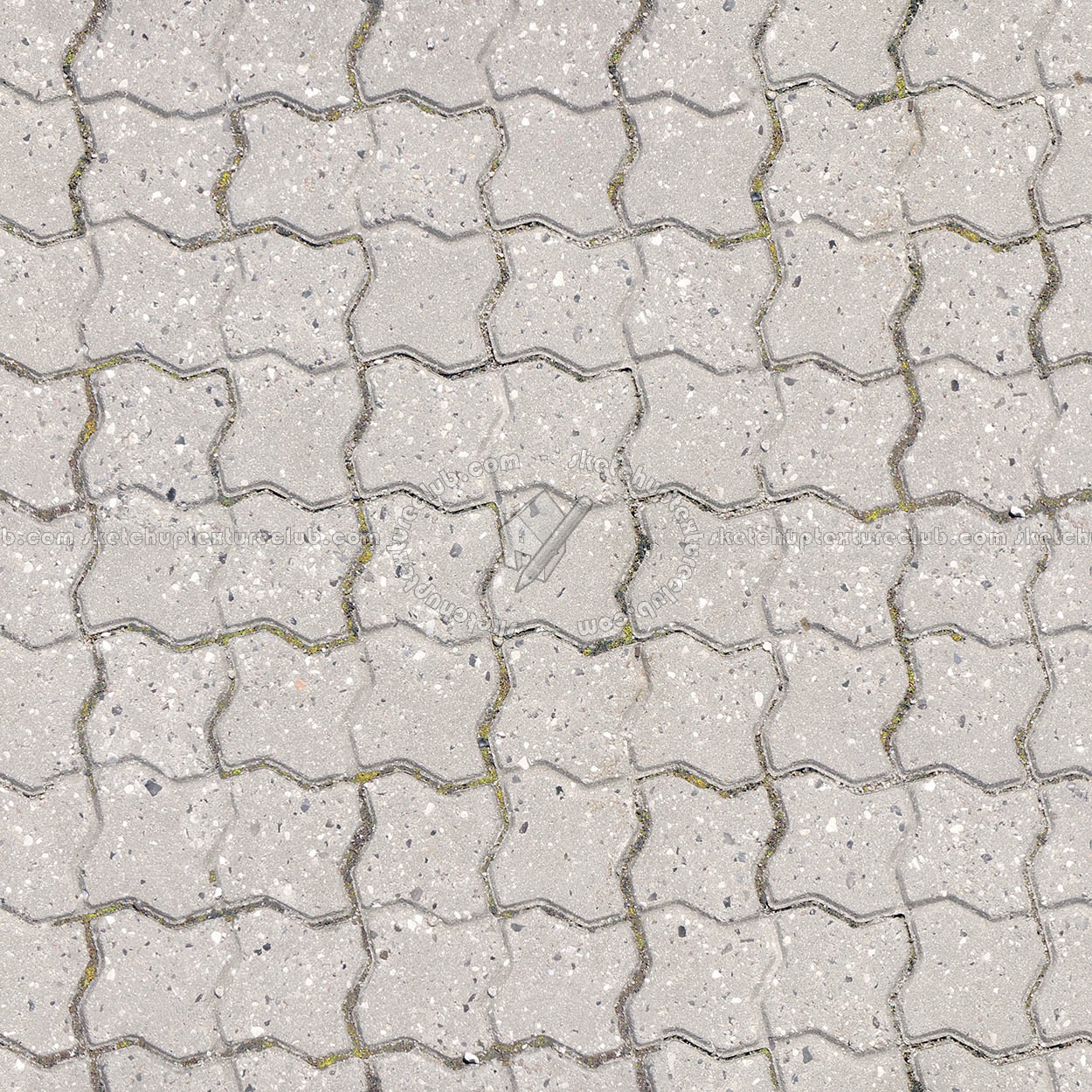 Textures   -   ARCHITECTURE   -   PAVING OUTDOOR   -   Concrete   -   Blocks regular  - Paving concrete regular block texture seamless 05628 (seamless)