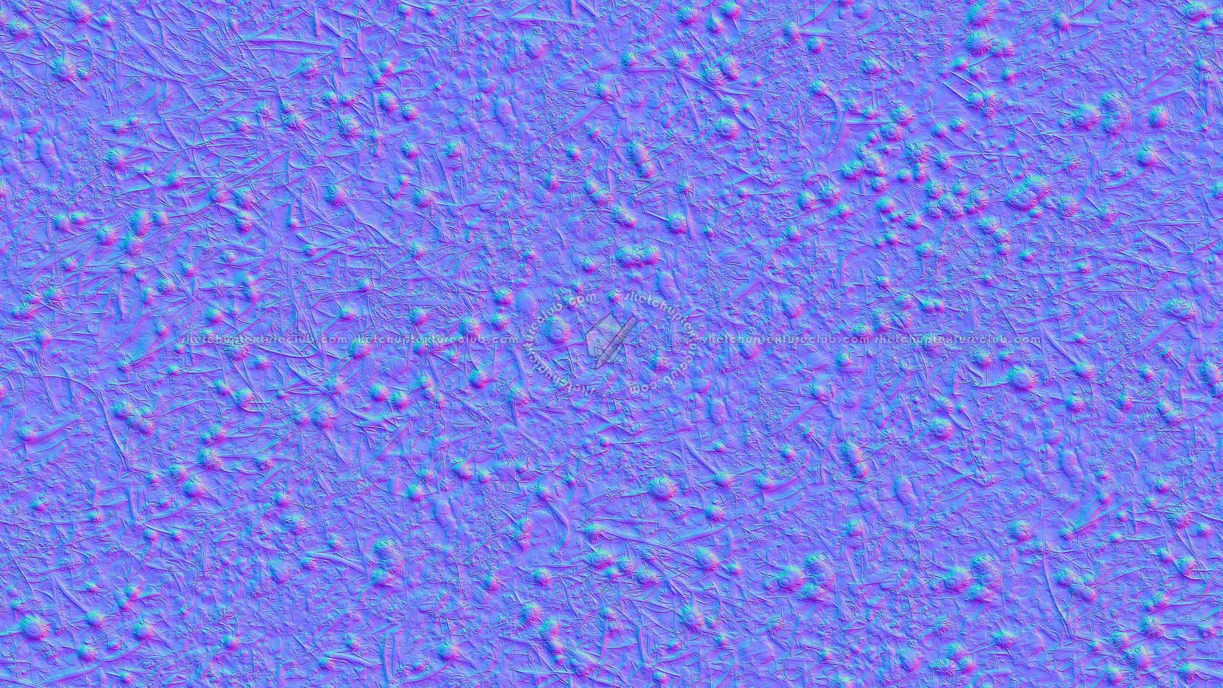 Textures   -   NATURE ELEMENTS   -   VEGETATION   -   Flowery fields  - First marguerites in march texture seamless 20554 - Normal