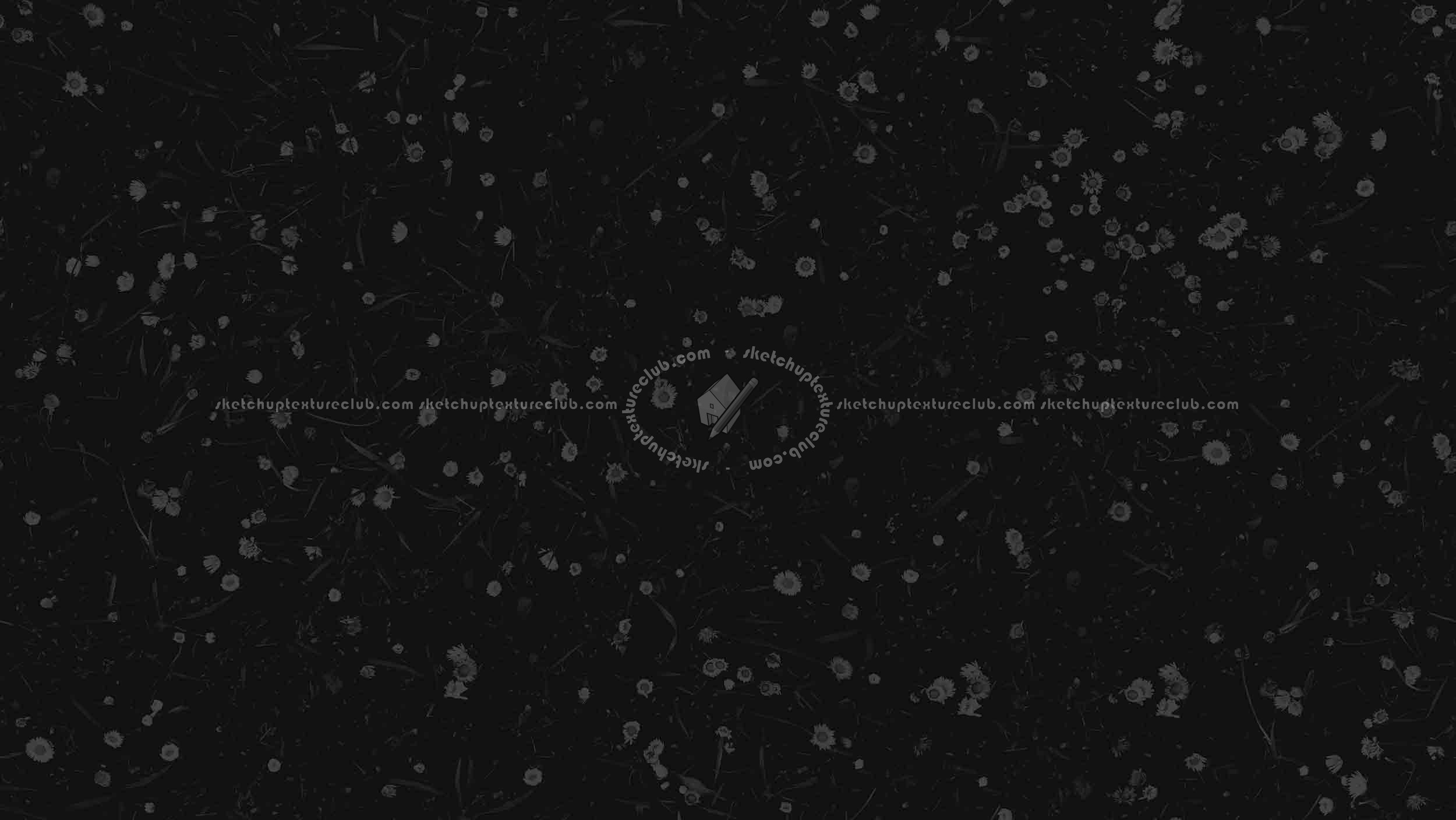 Textures   -   NATURE ELEMENTS   -   VEGETATION   -   Flowery fields  - First marguerites in march texture seamless 20554 - Specular