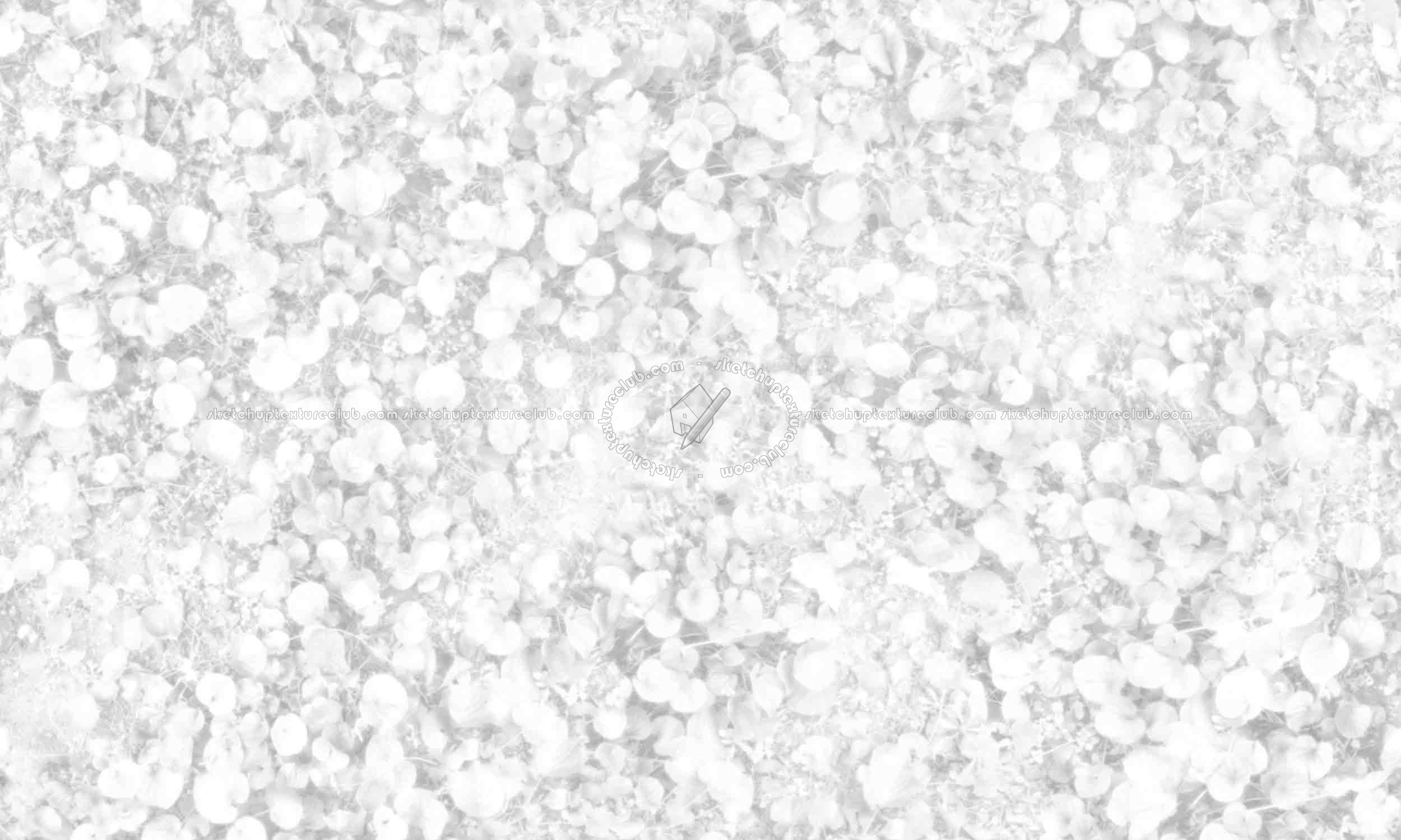 Textures   -   NATURE ELEMENTS   -   VEGETATION   -   Flowery fields  - Wild violets texture seamless 20582 - Ambient occlusion