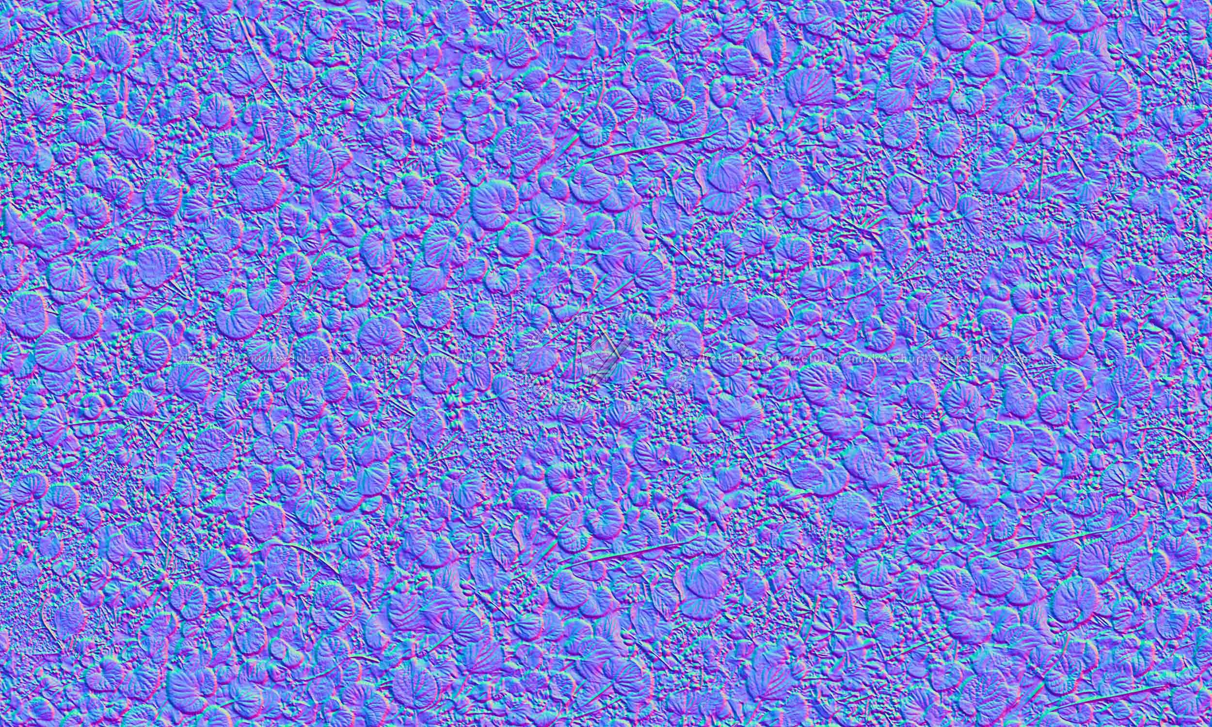 Textures   -   NATURE ELEMENTS   -   VEGETATION   -   Flowery fields  - Wild violets texture seamless 20582 - Normal