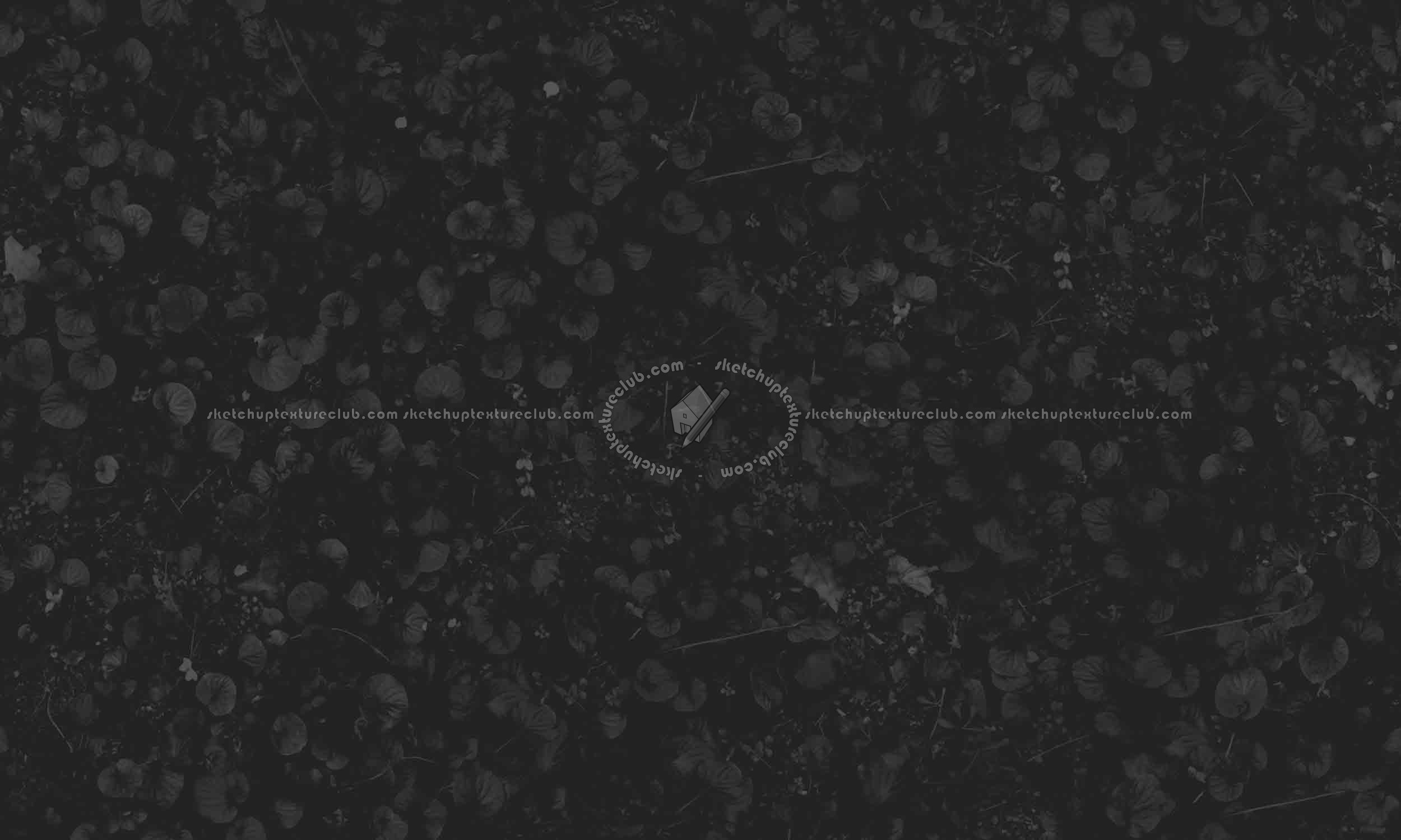 Textures   -   NATURE ELEMENTS   -   VEGETATION   -   Flowery fields  - Wild violets texture seamless 20582 - Specular