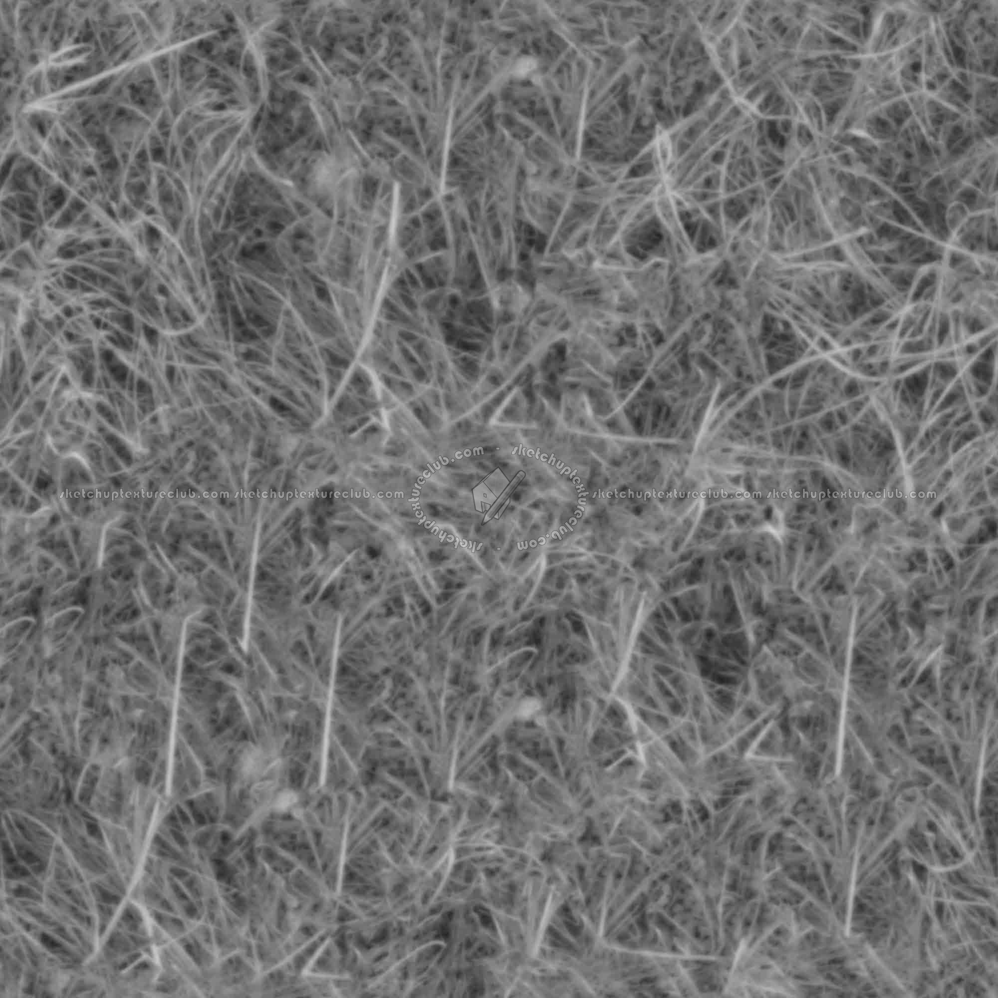 Textures   -   NATURE ELEMENTS   -   VEGETATION   -   Dry grass  - Dry grass texture seamless 18654 - Displacement