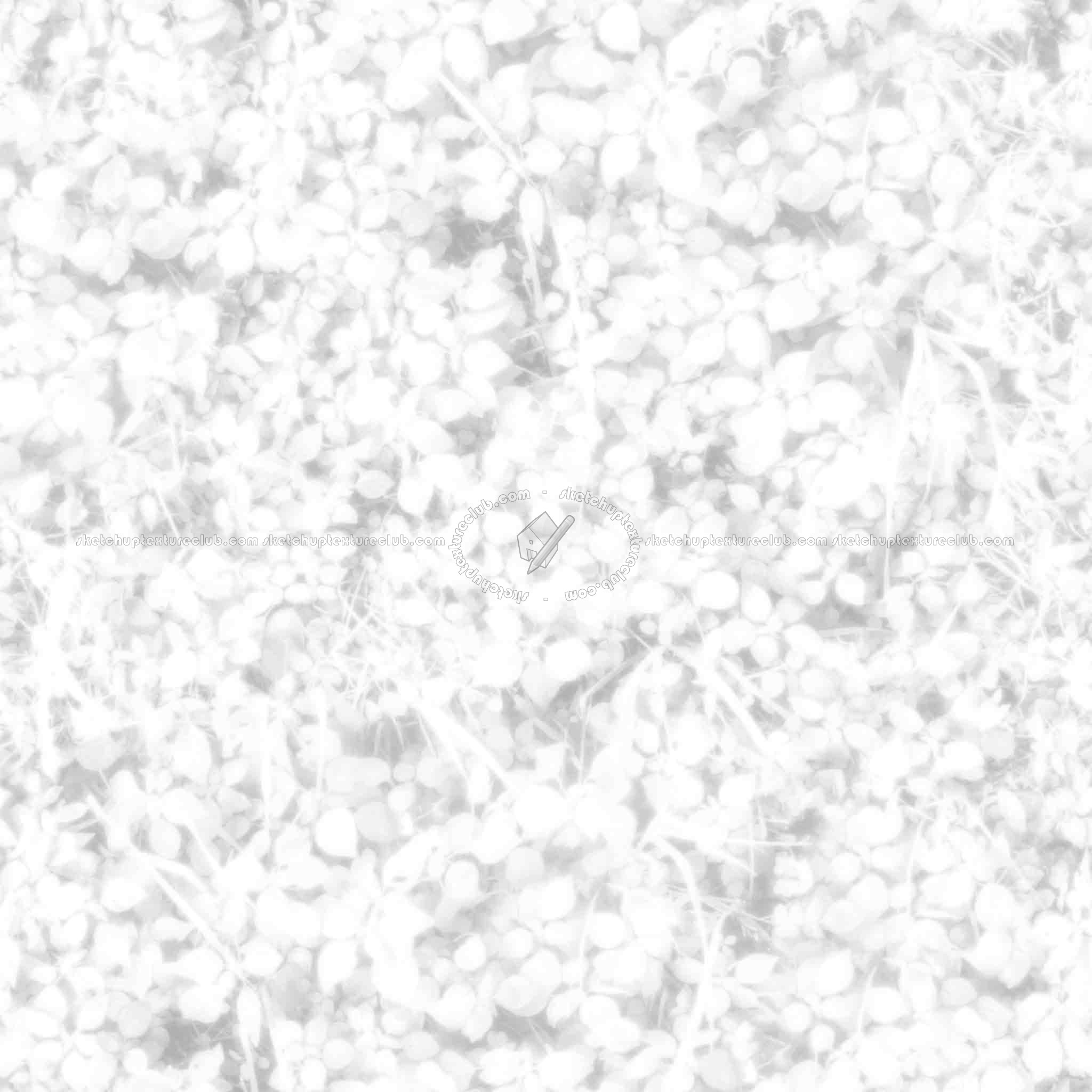 Textures   -   FREE PBR TEXTURES  - Green lawn PBR texture seamless 21847 - Ambient occlusion