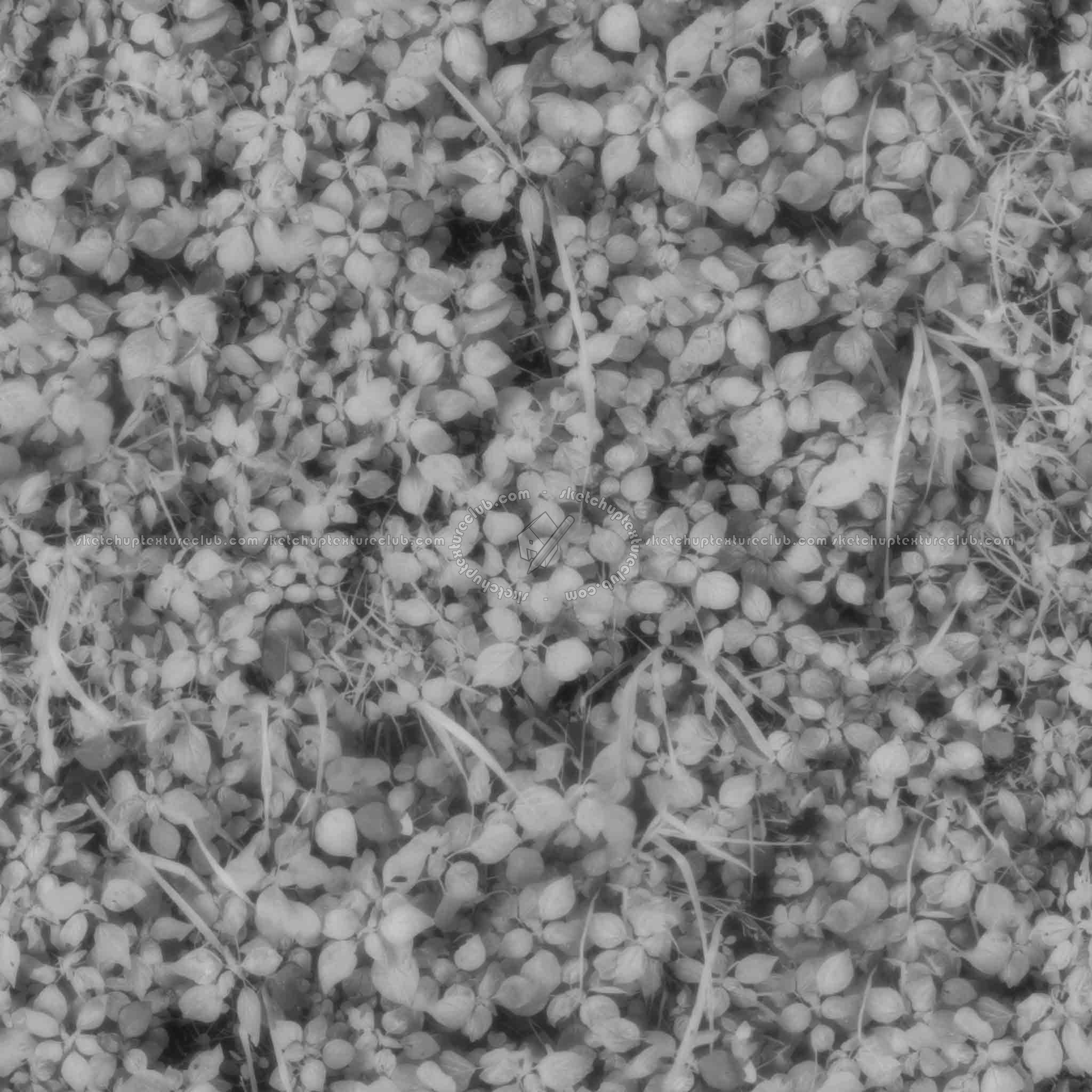 Textures   -   FREE PBR TEXTURES  - Green lawn PBR texture seamless 21847 - Displacement