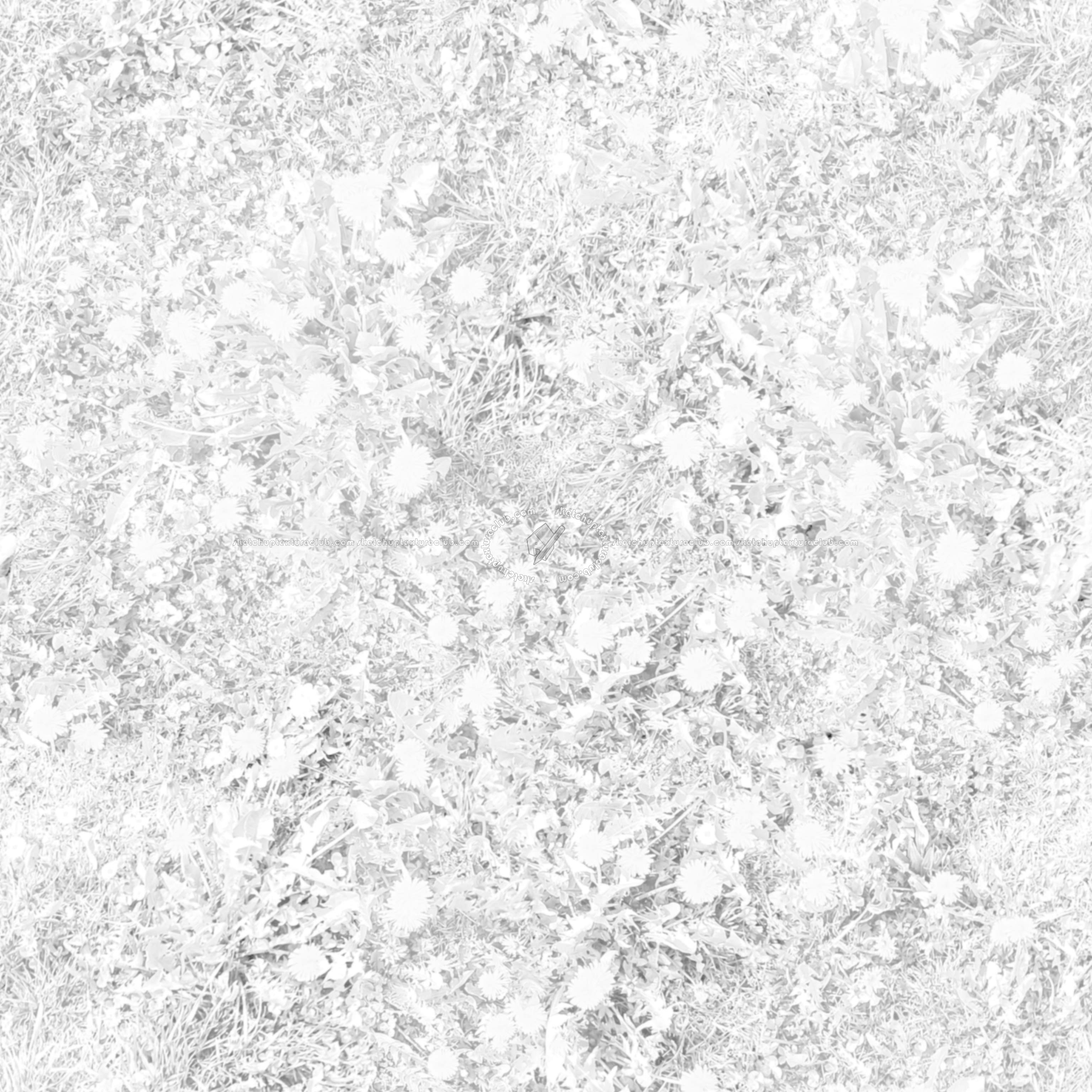 Textures   -   NATURE ELEMENTS   -   VEGETATION   -   Flowery fields  - spring meadow pbr texture-semaless 22190 - Ambient occlusion