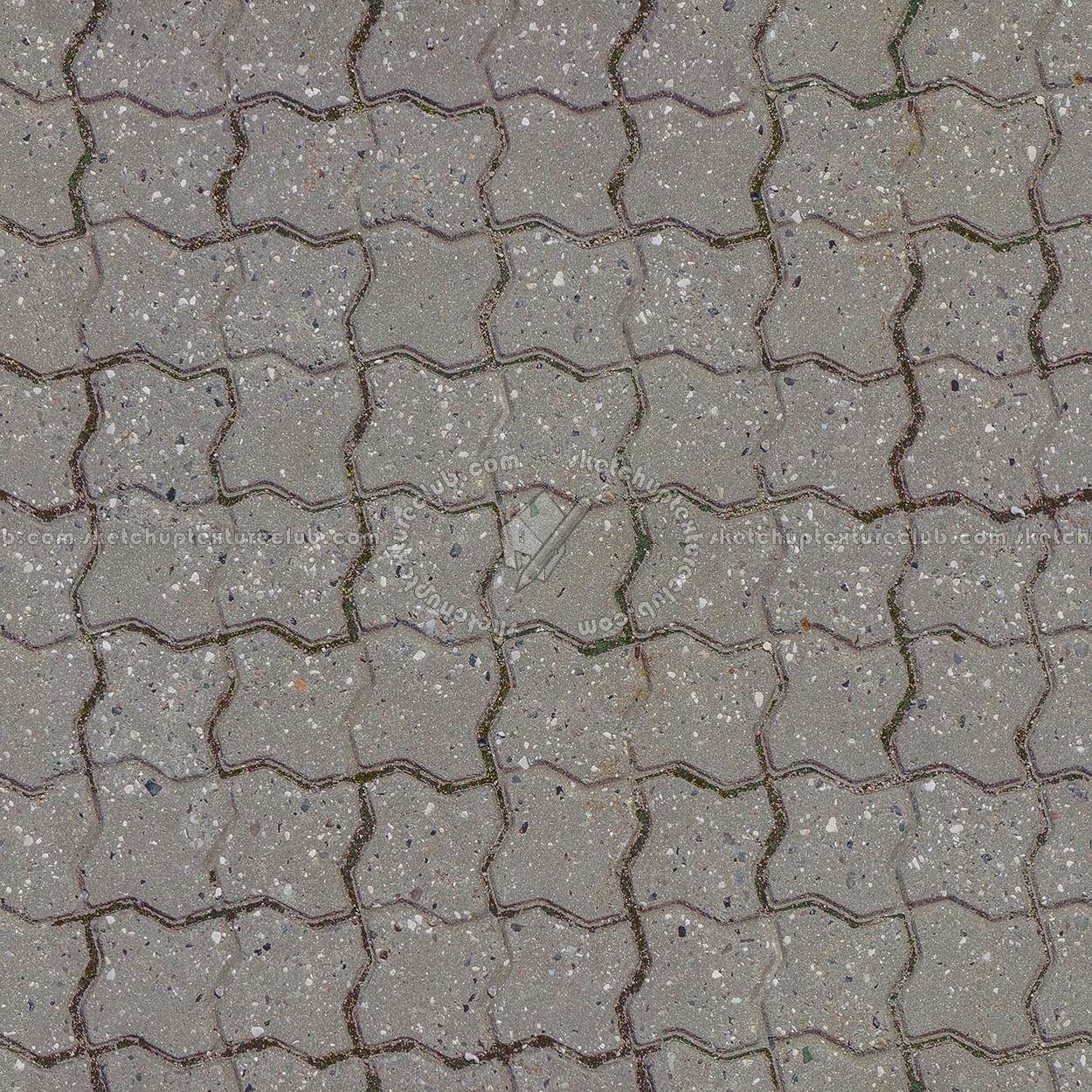 Textures   -   ARCHITECTURE   -   PAVING OUTDOOR   -   Concrete   -   Blocks regular  - Paving concrete regular block texture seamless 05629 (seamless)