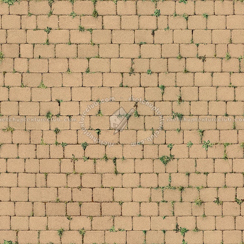 Textures   -   ARCHITECTURE   -   PAVING OUTDOOR   -   Concrete   -   Blocks regular  - Paving outdoor concrete regular block texture seamless 05666 (seamless)