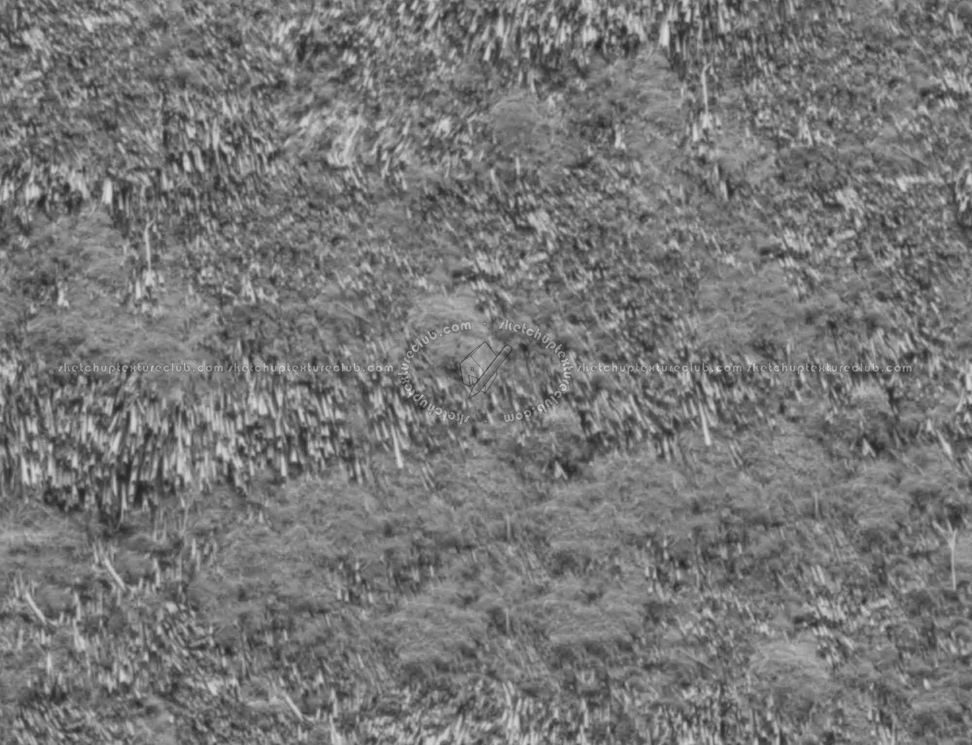 Textures   -   ARCHITECTURE   -   ROOFINGS   -   Thatched roofs  - Thatched roof texture seamless 17350 - Displacement